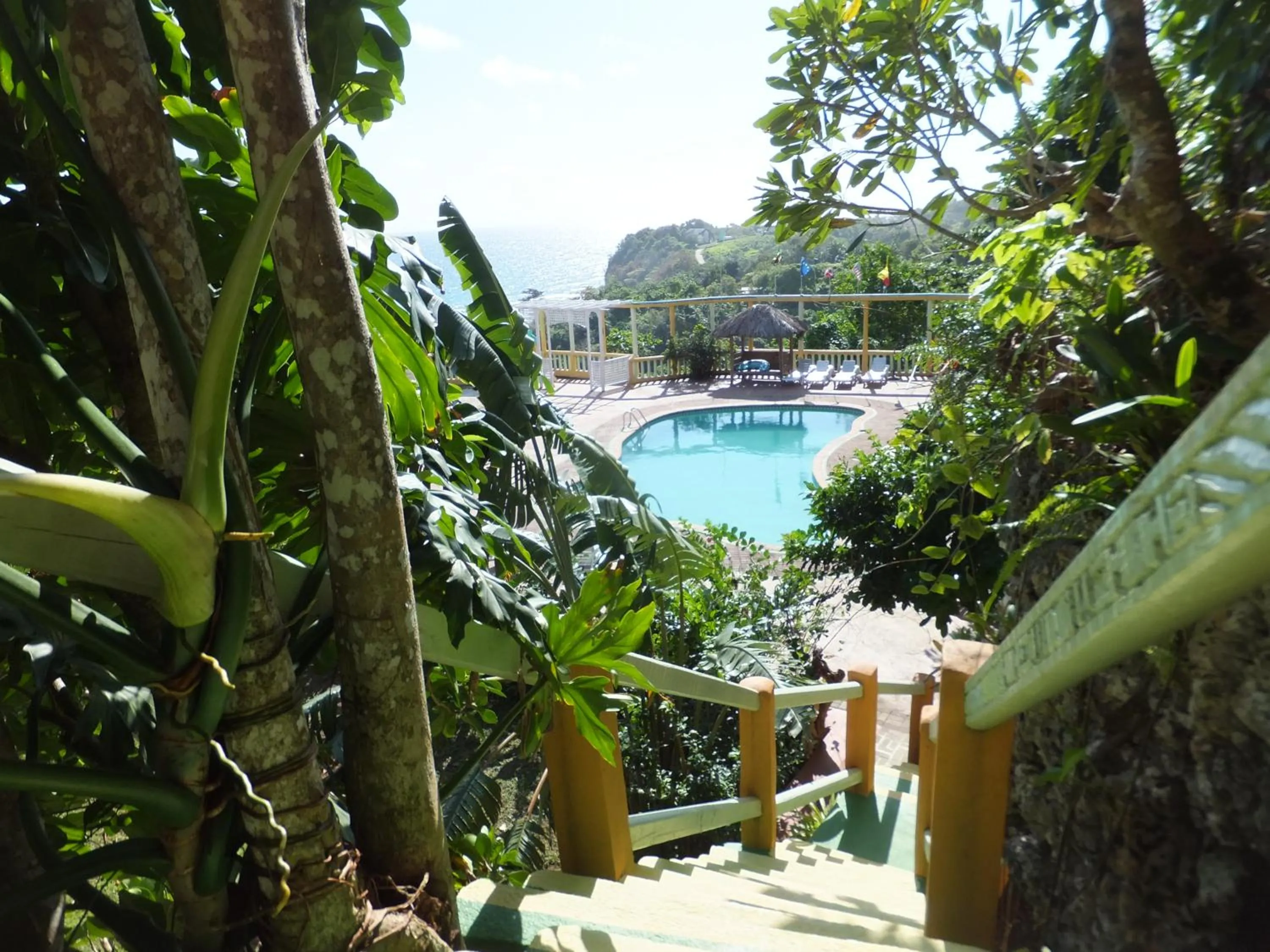 Swimming pool in Pimento Lodge Resort