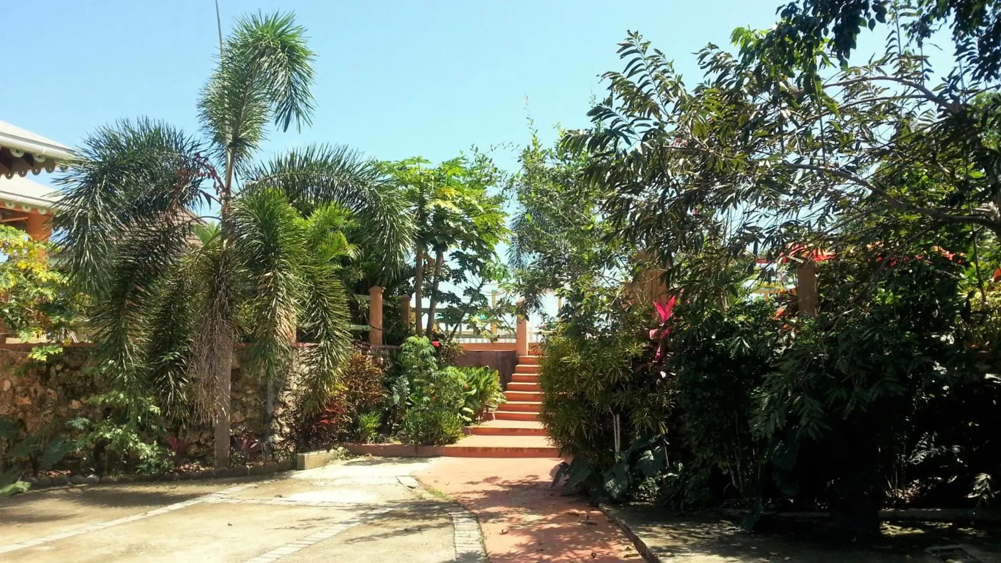 Natural landscape in Pimento Lodge Resort