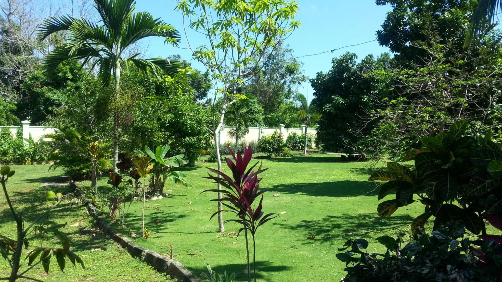 Natural landscape in Pimento Lodge Resort