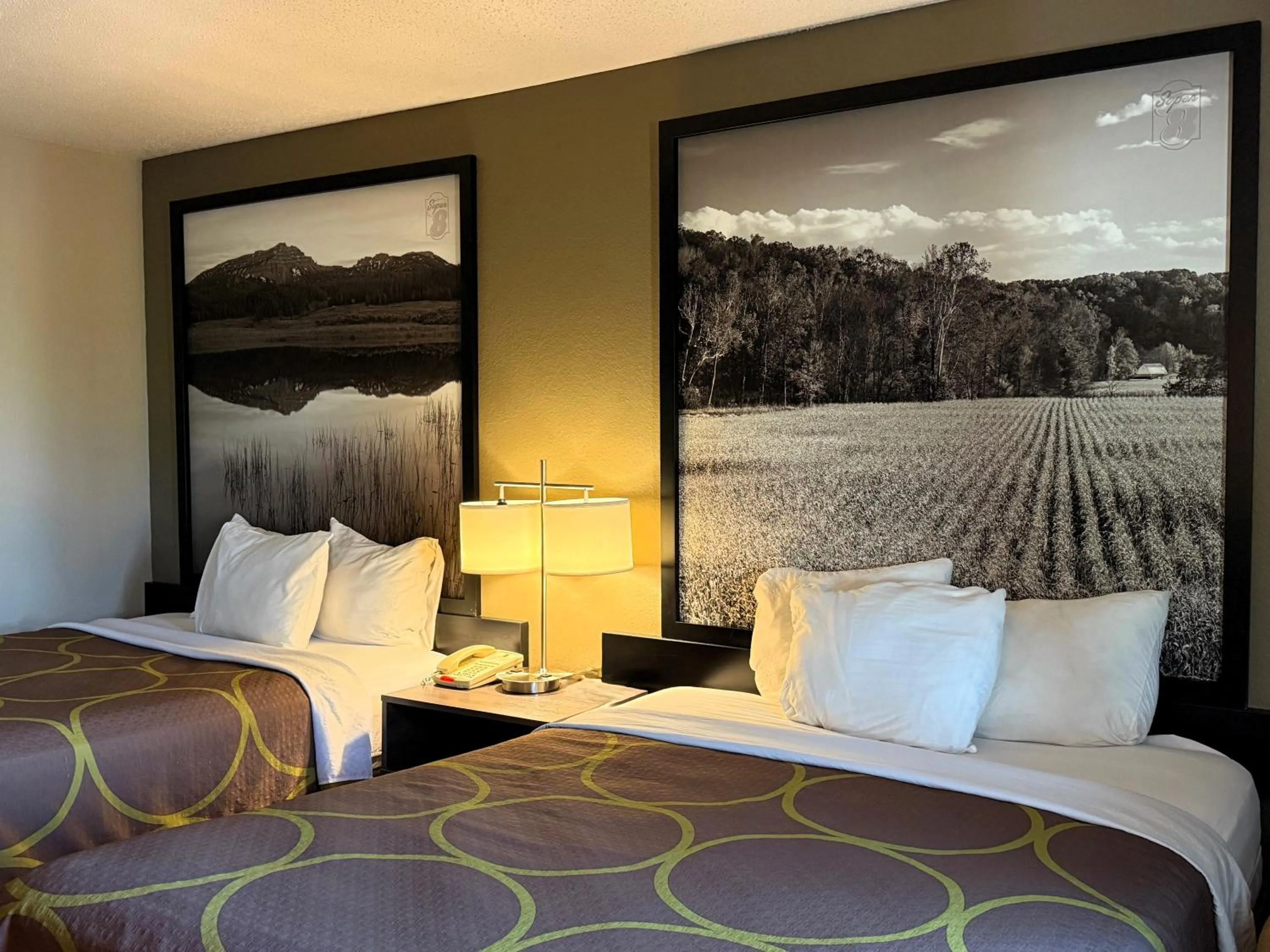 Guests, Bed in Super 8 by Wyndham Gas City Marion Area