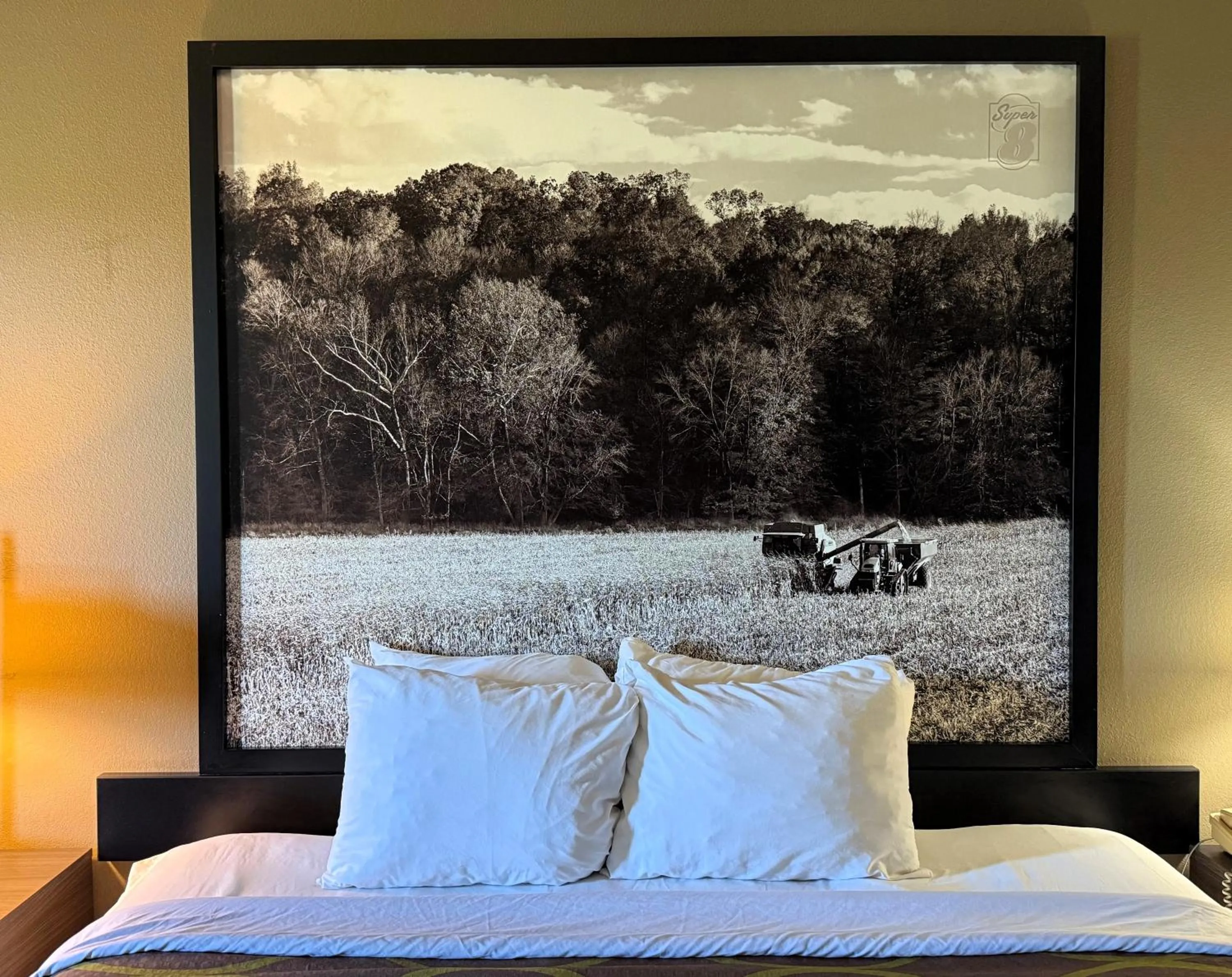 Guests, Bed in Super 8 by Wyndham Gas City Marion Area