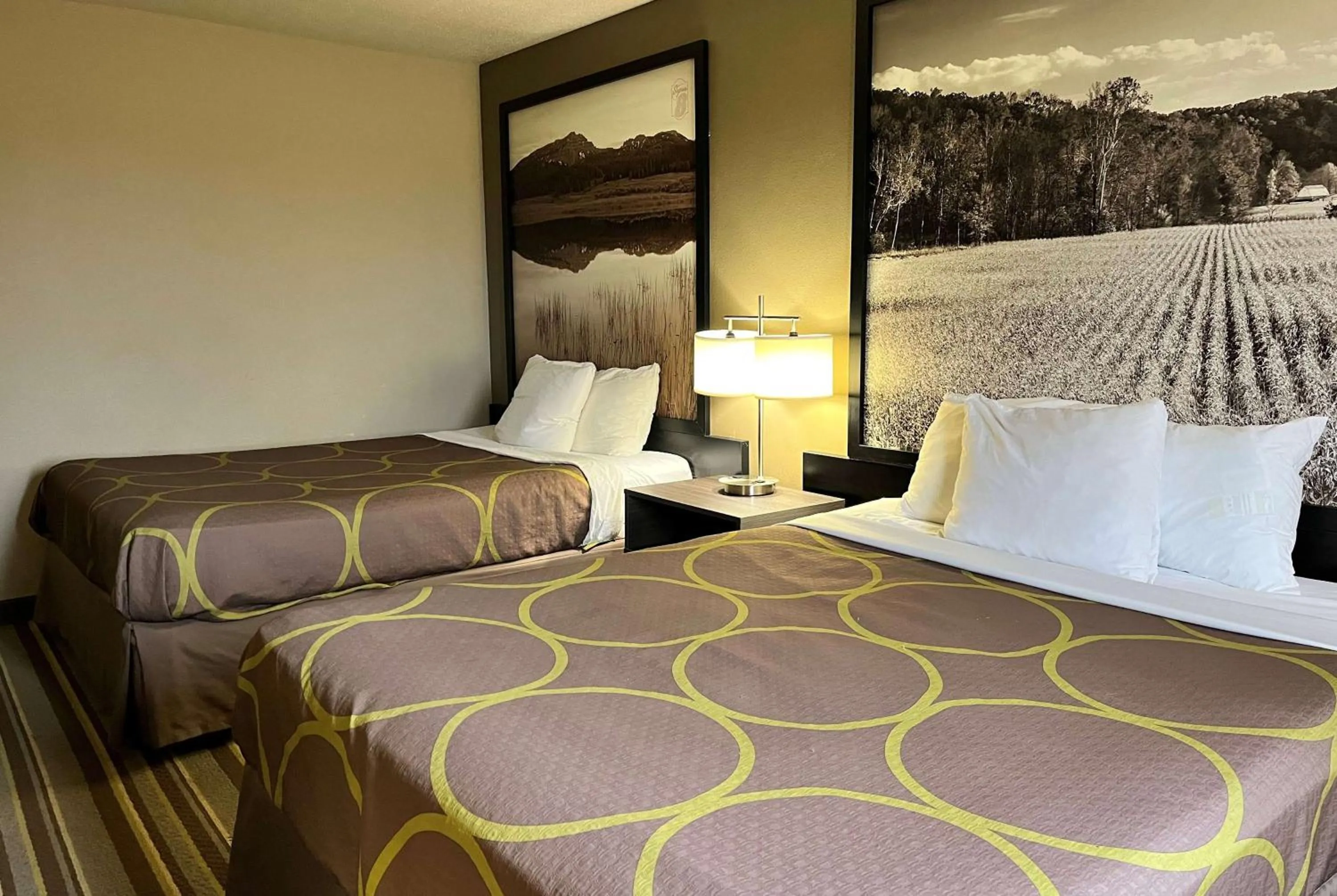 Photo of the whole room, Bed in Super 8 by Wyndham Gas City Marion Area