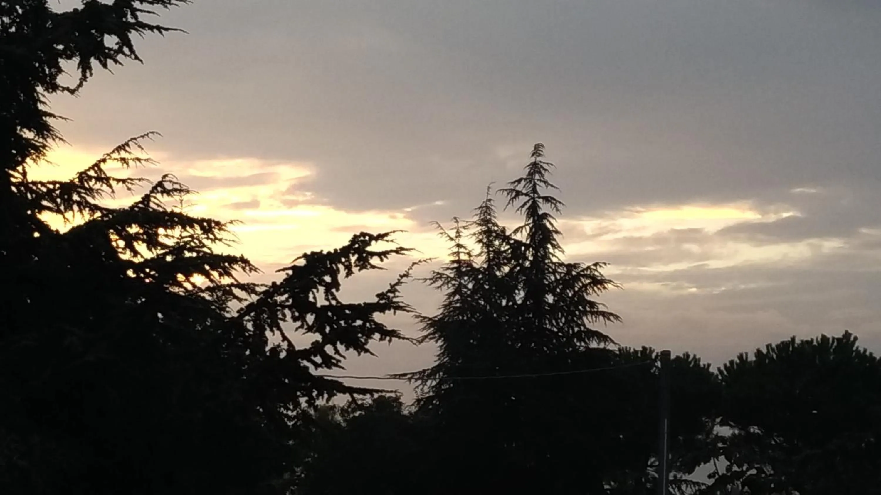 Autumn in B&B Il girasole - A casa di Ale