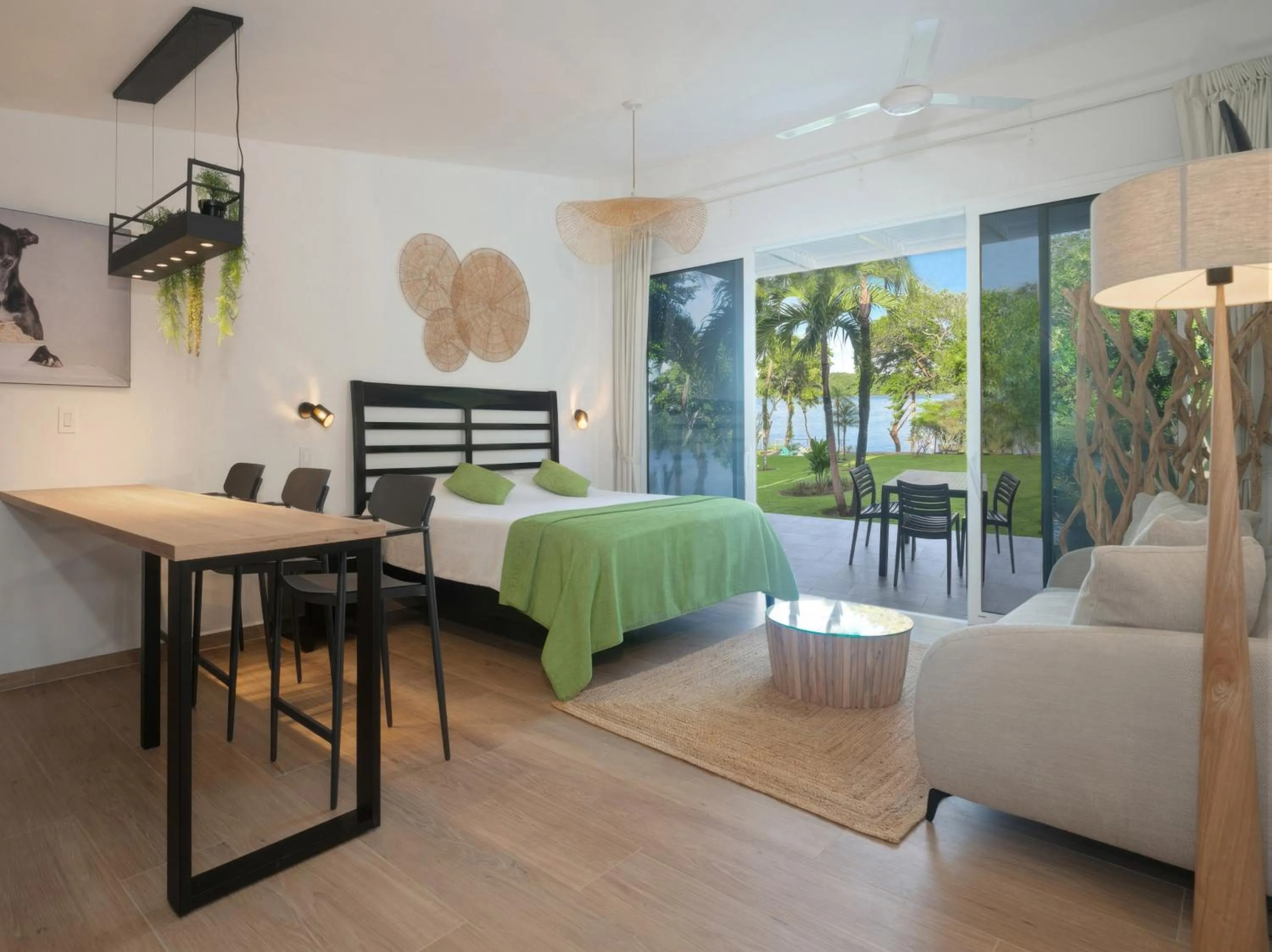 Photo of the whole room in Bocas del Mar