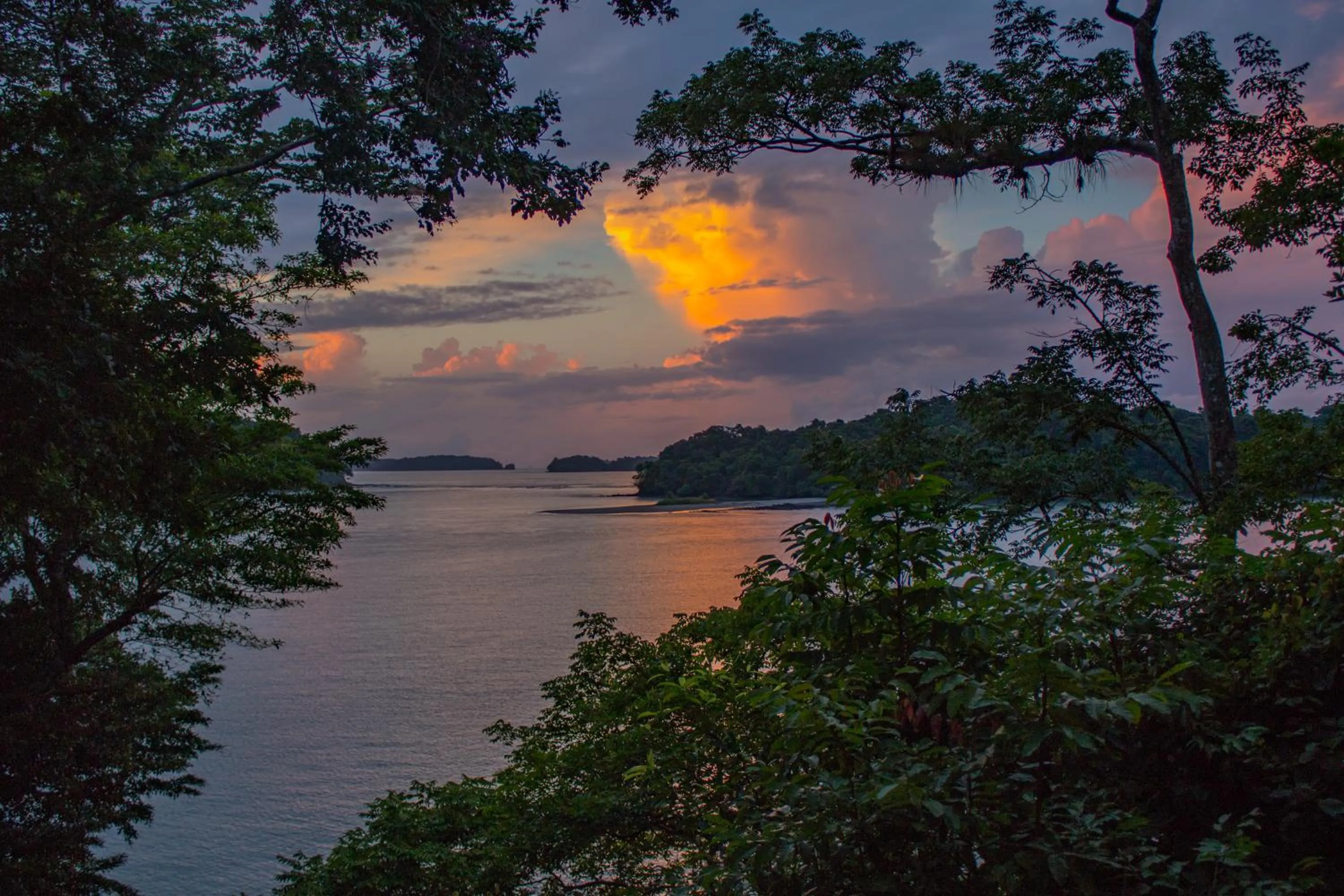 Garden in Bocas del Mar