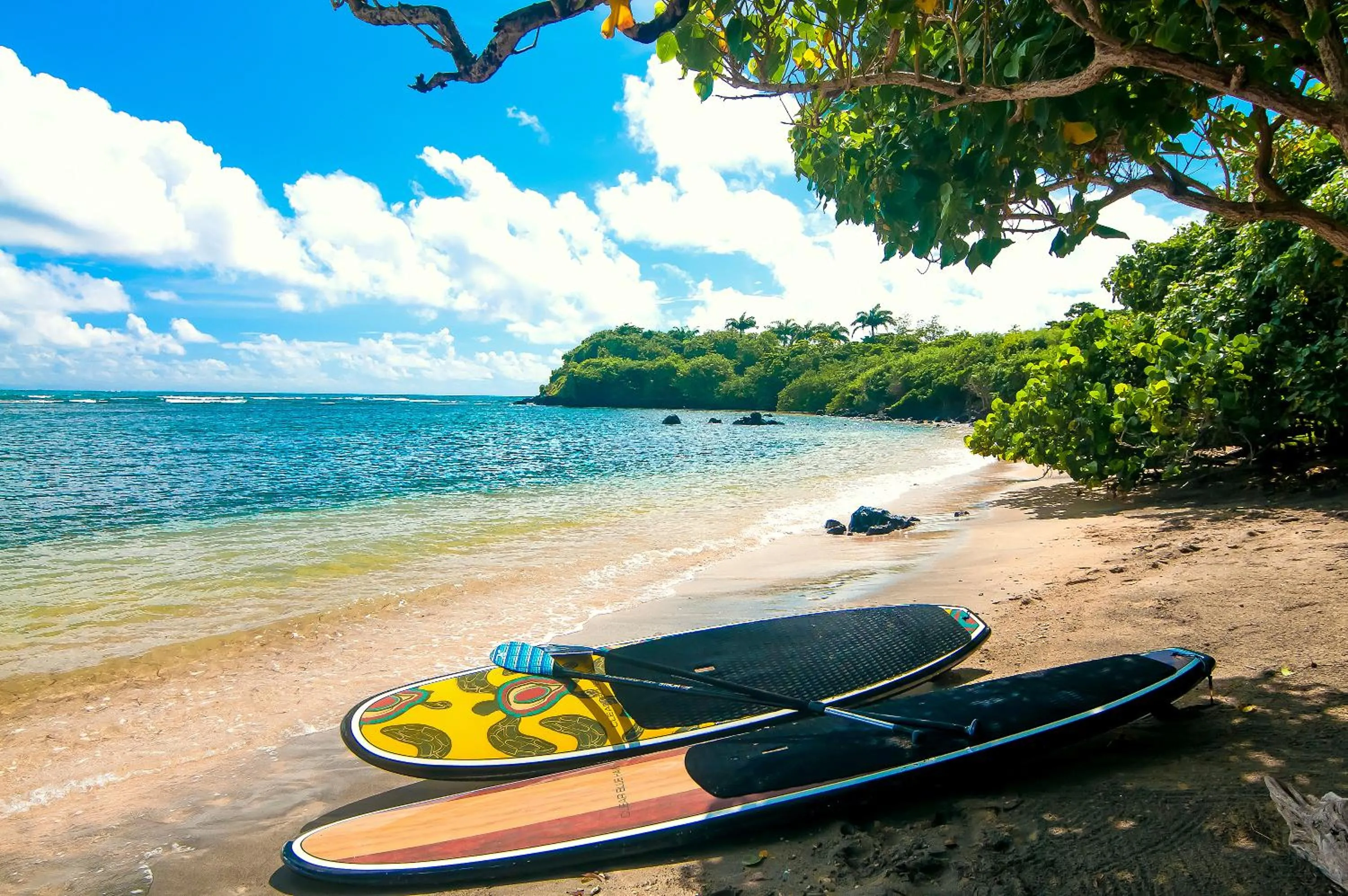 Beach in 473 Grenada Boutique Resort