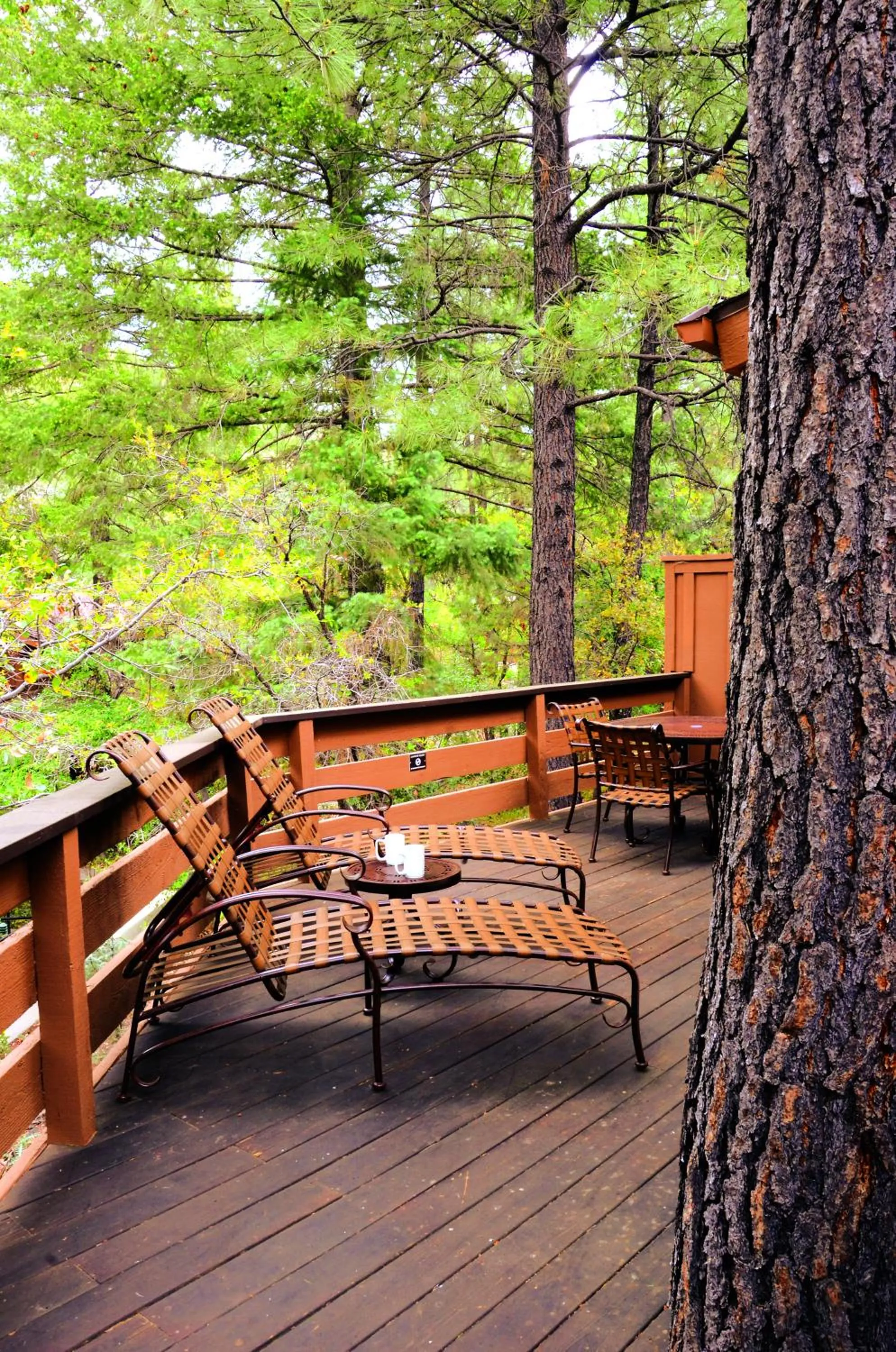 Patio in Junipine Resort