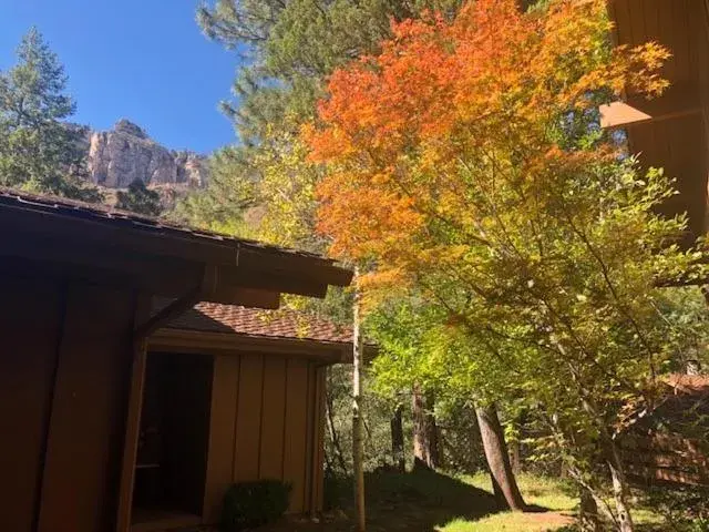 Property building in Junipine Resort Property building in Junipine Resort