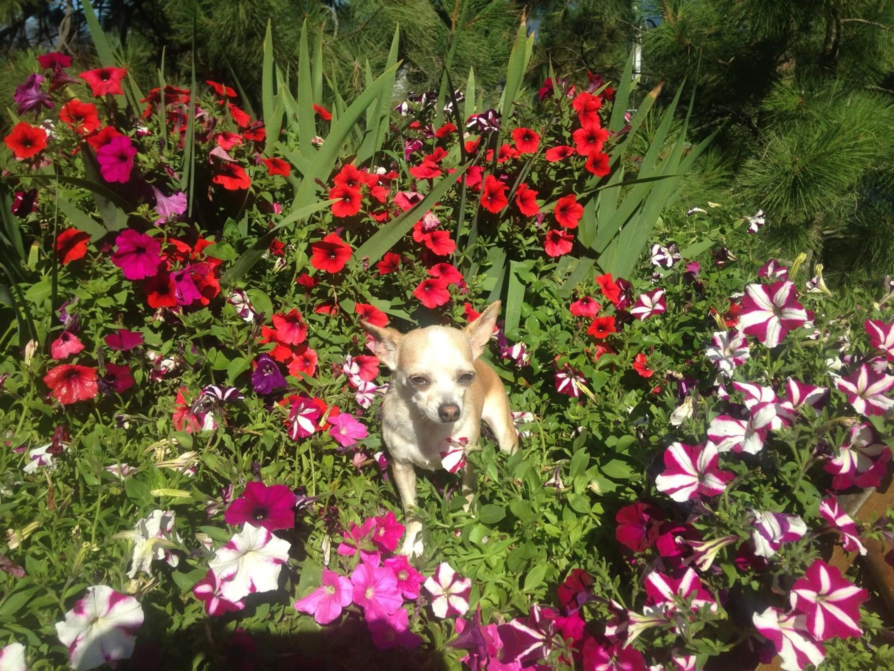 Facade/entrance in Eagle's Nest B&B
