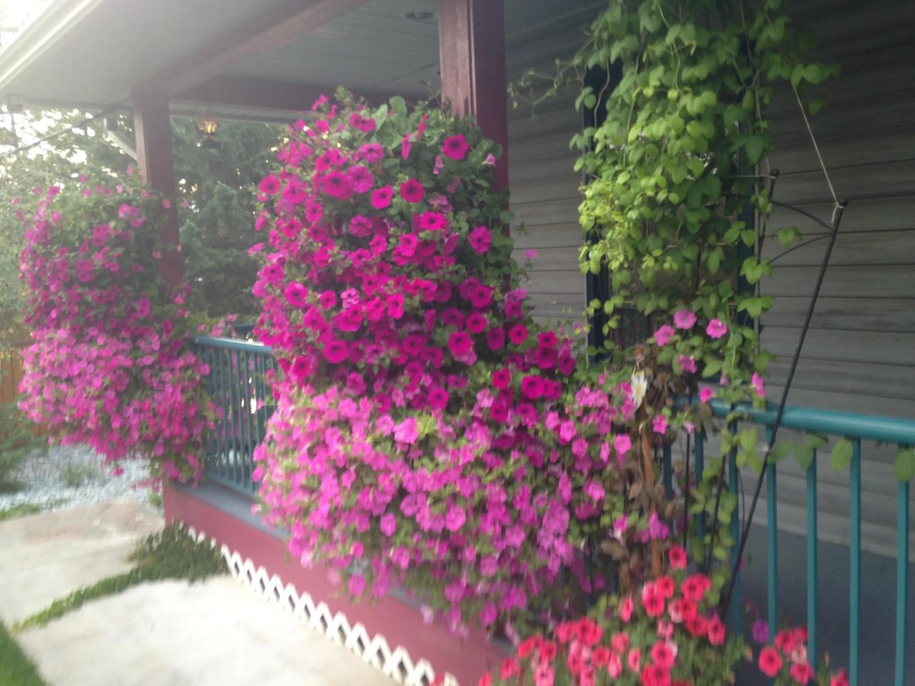 Property building in Eagle's Nest B&B