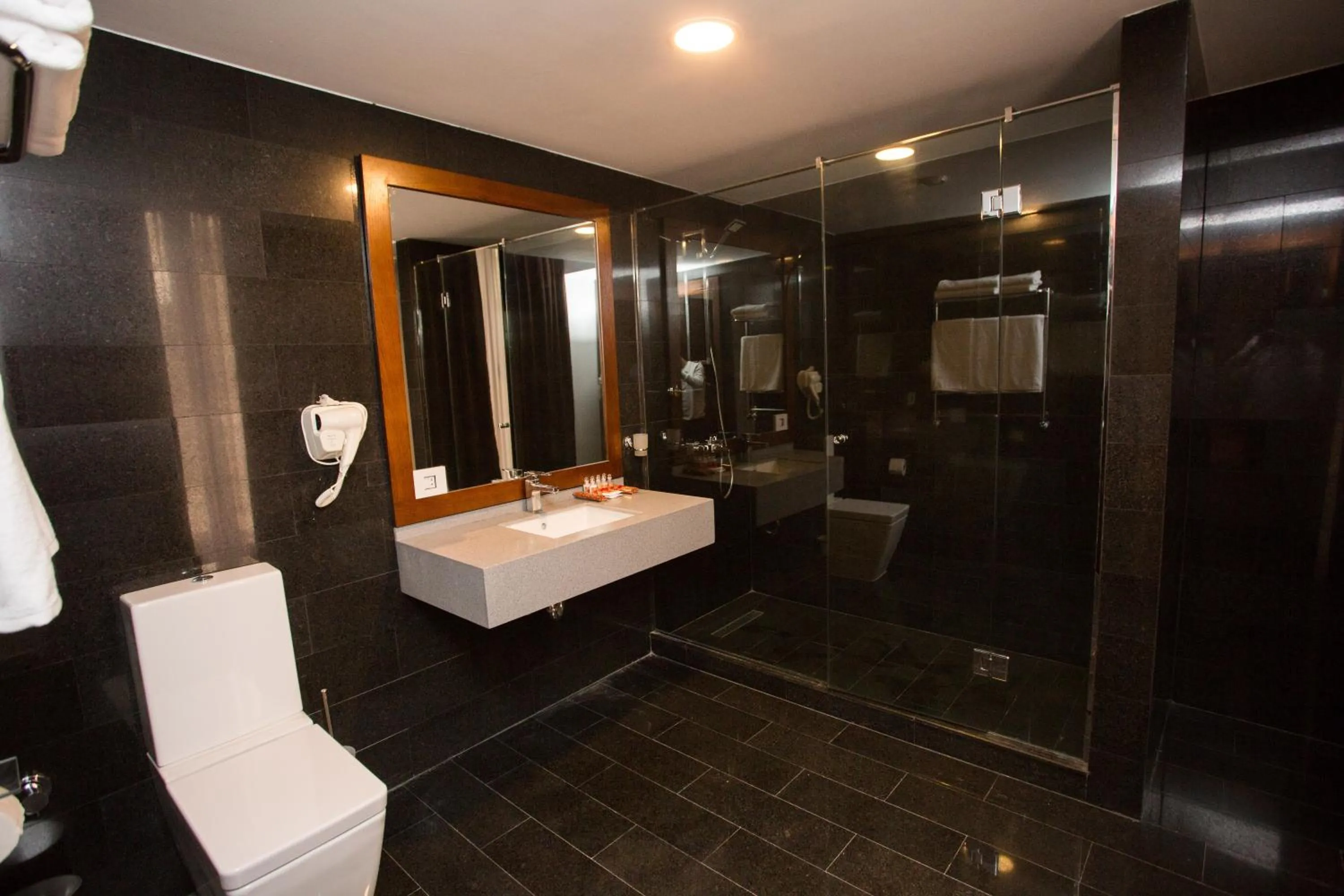 Shower in Da Vinci Boutique Hotel