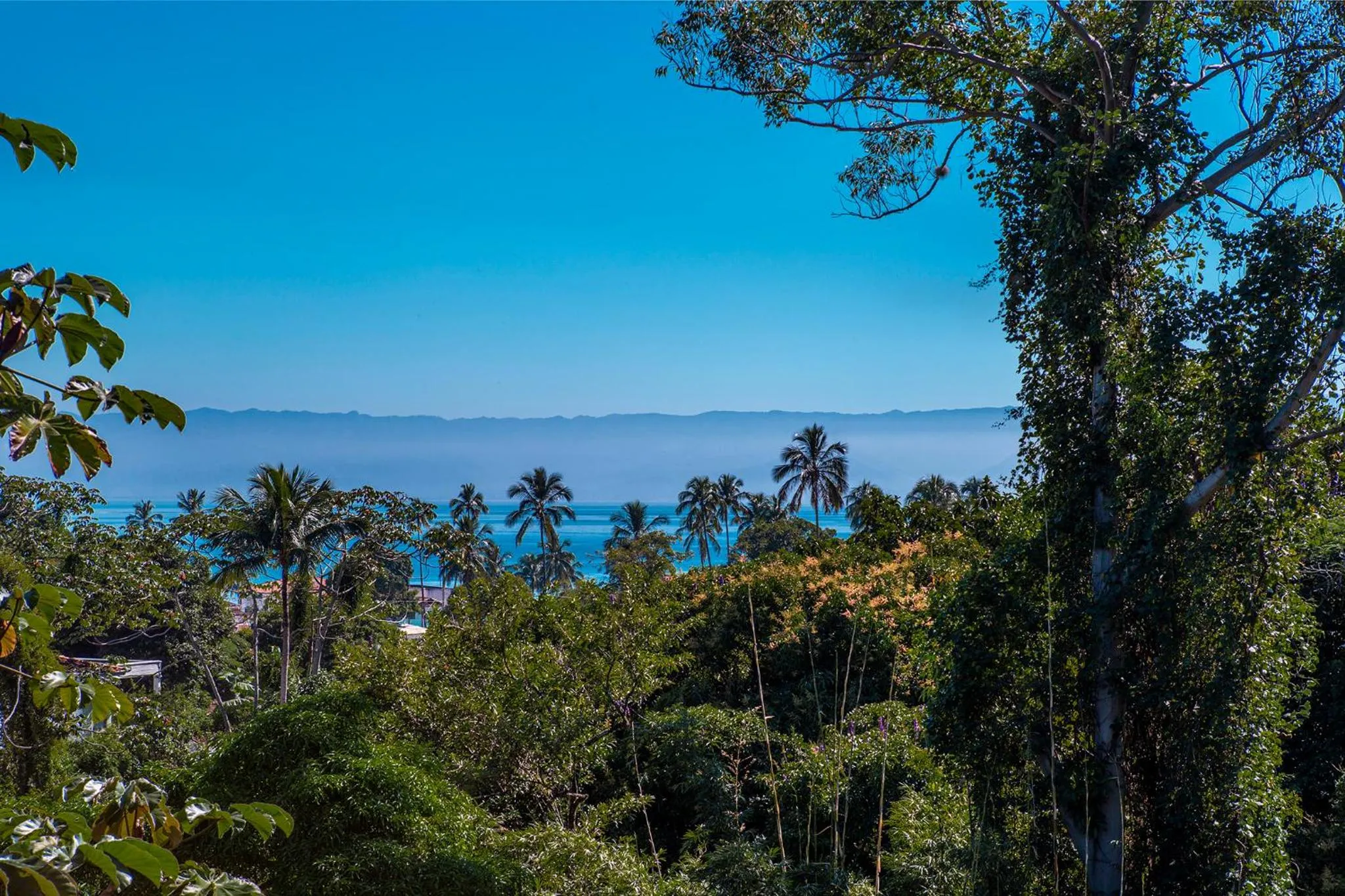 Natural landscape in Hotel Vila Kebaya