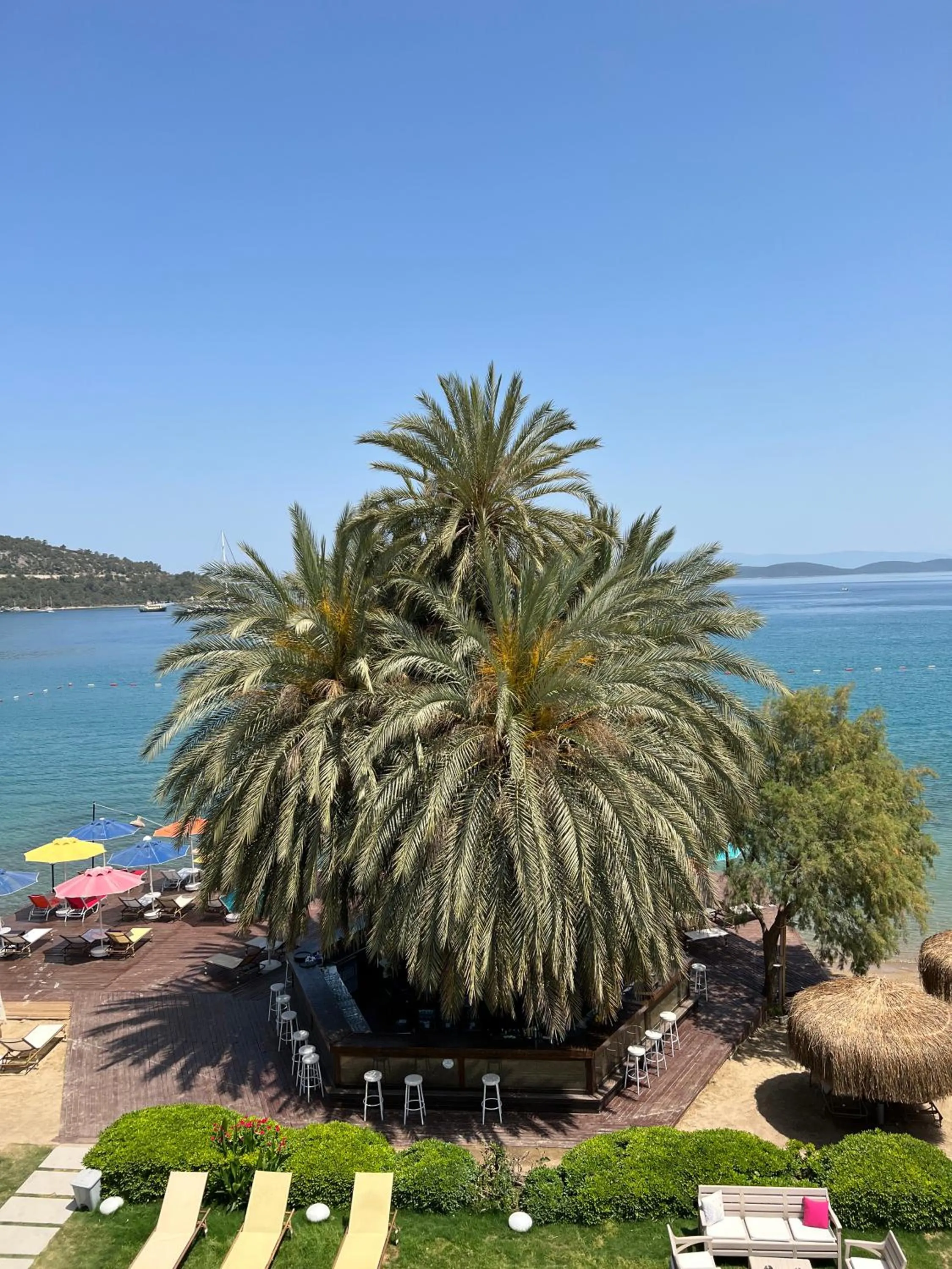 Restaurant/places to eat in Toka Bodrum Hotel & Beach Club