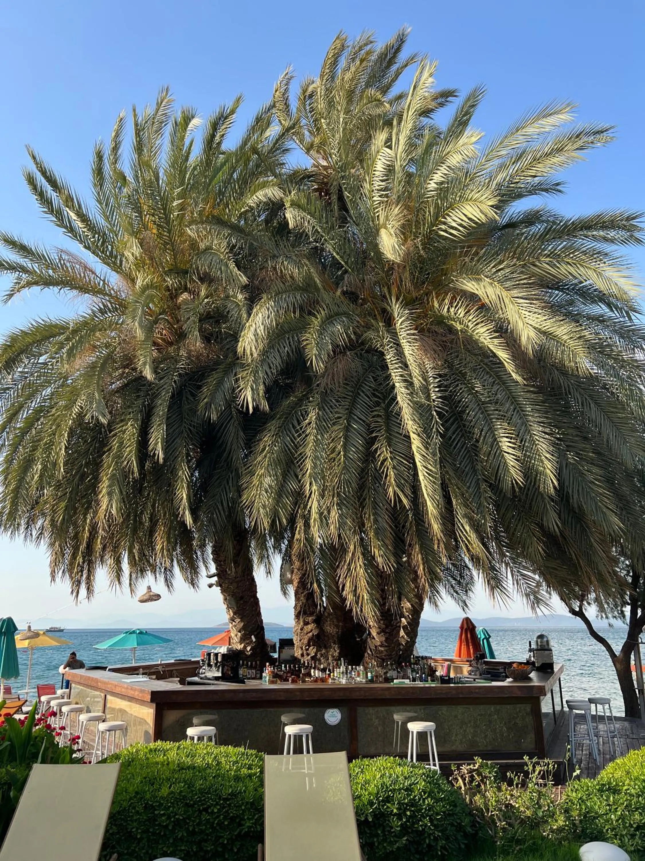 Beach in Toka Bodrum Hotel & Beach Club