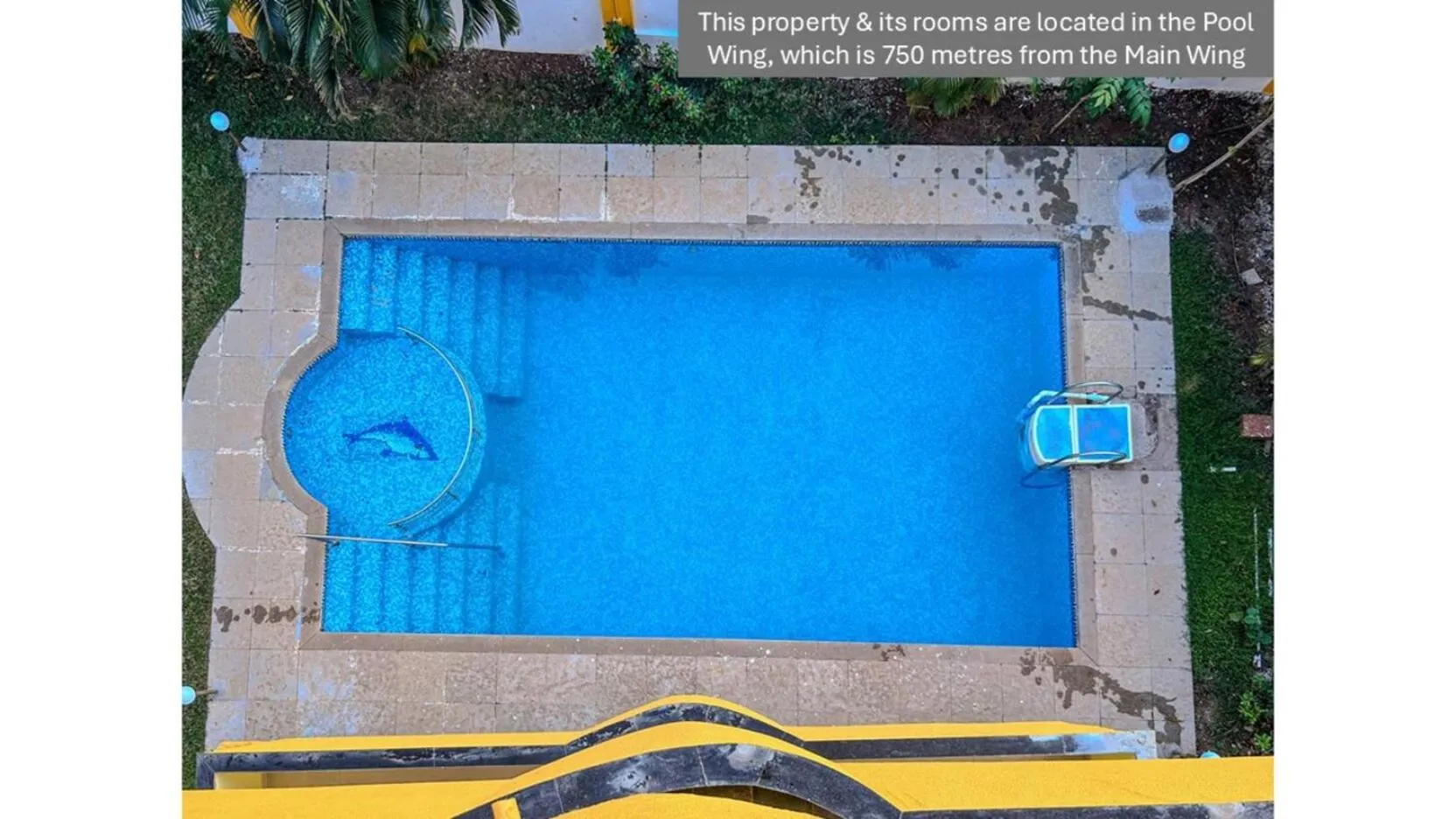 Swimming pool in Jungle by sturmfrei Vagator - Pool Wing