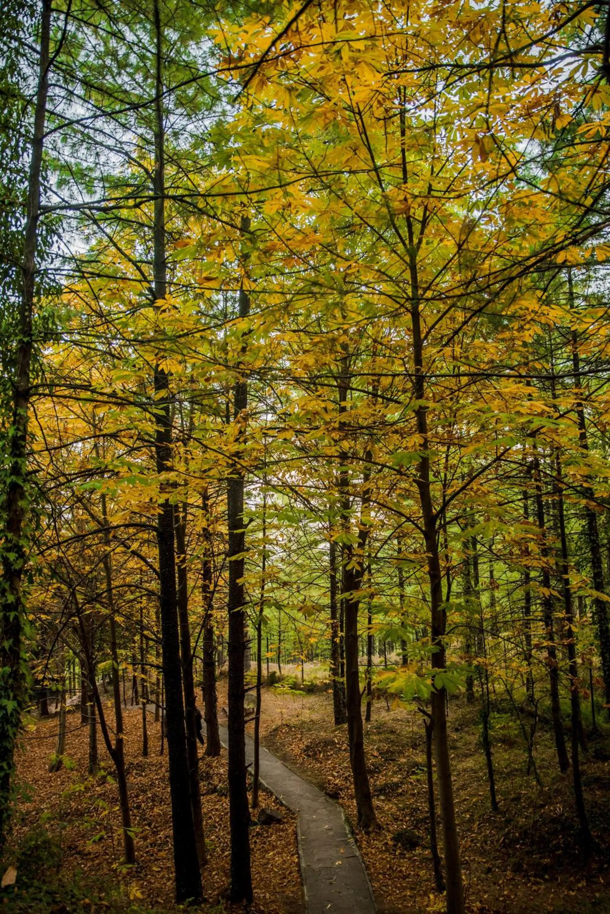 Hiking in Pearl Continental Hotel, Bhurban