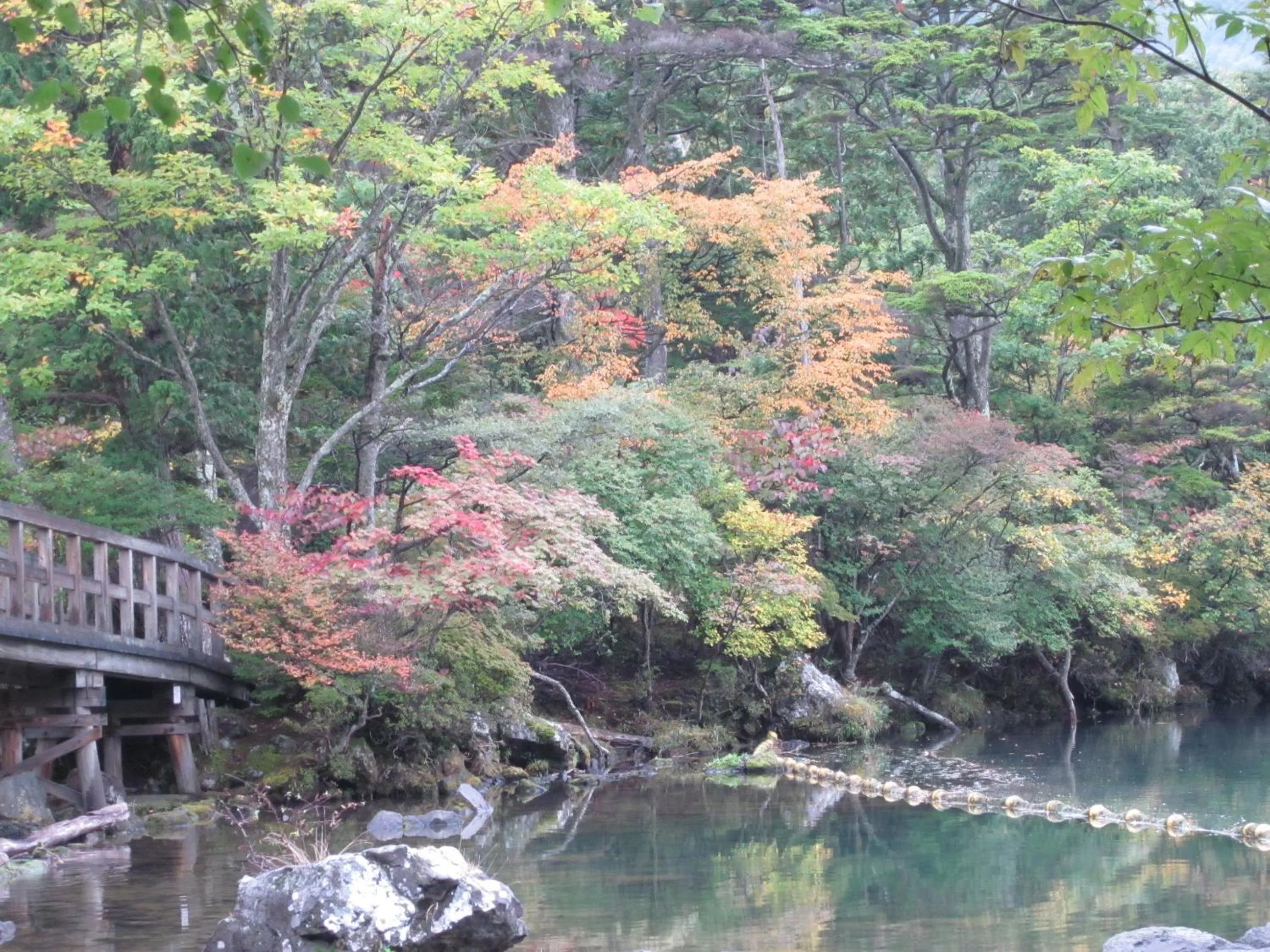Area and facilities in Shiunso