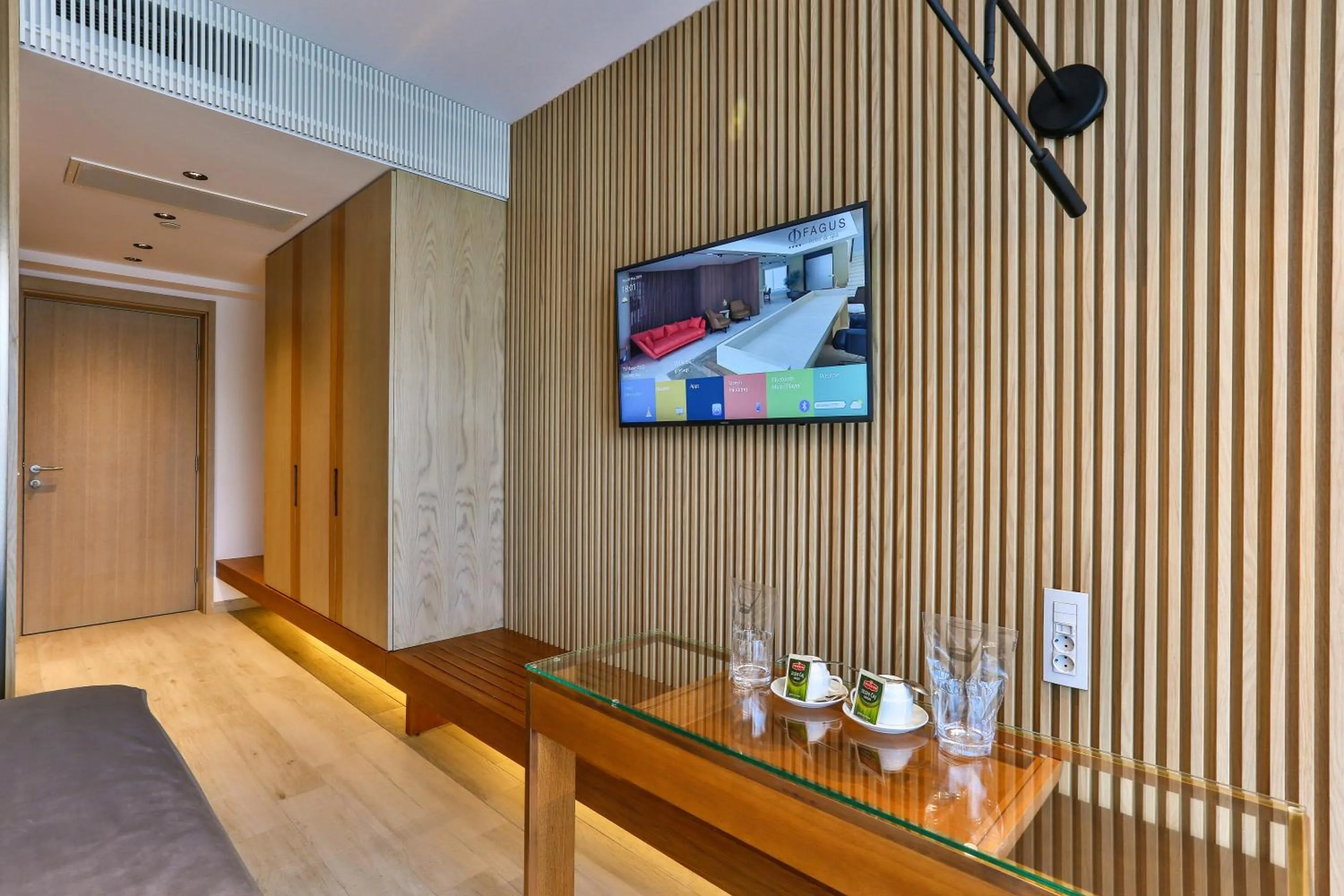TV and multimedia in Hotel Fagus by Aycon