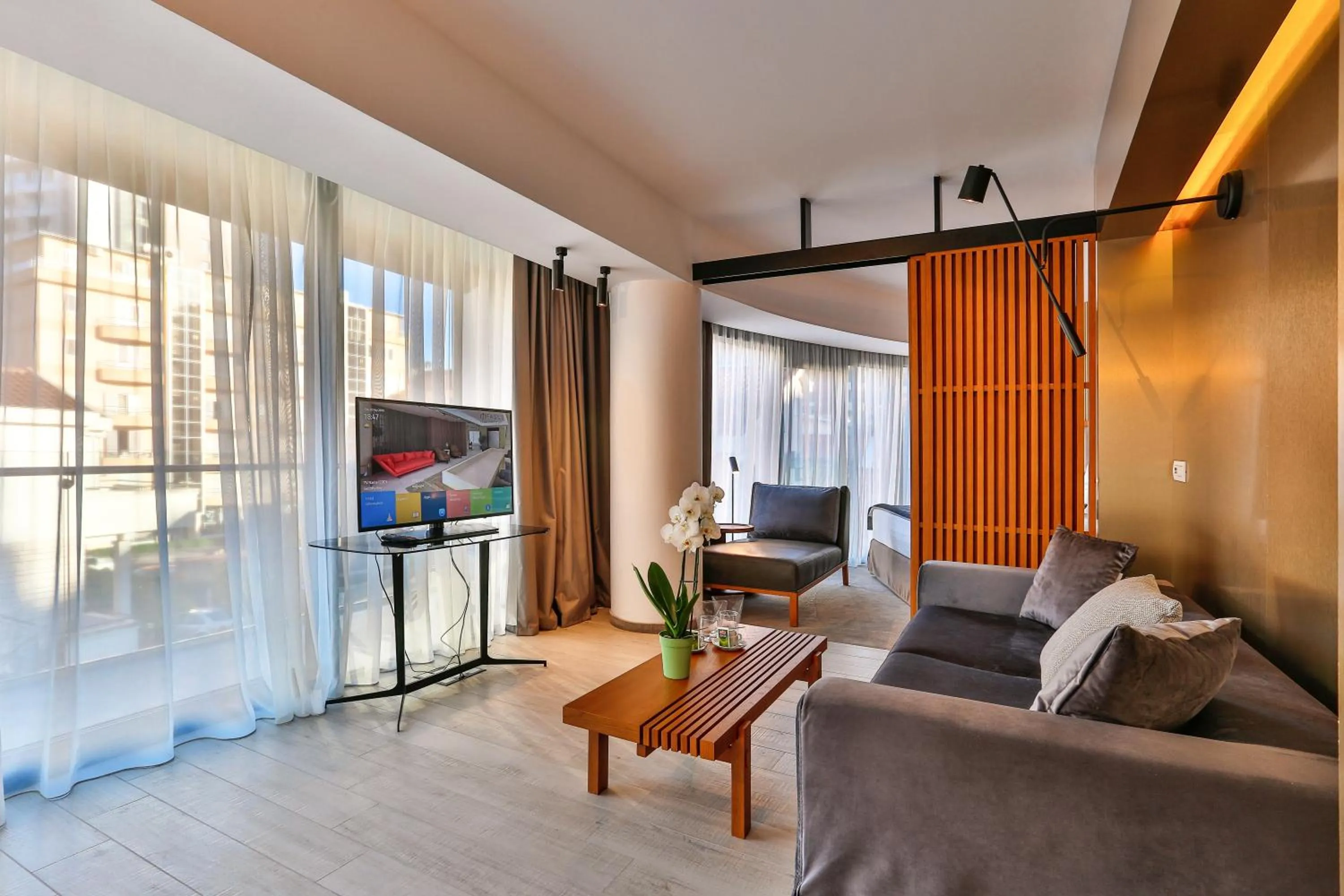 TV and multimedia in Hotel Fagus by Aycon