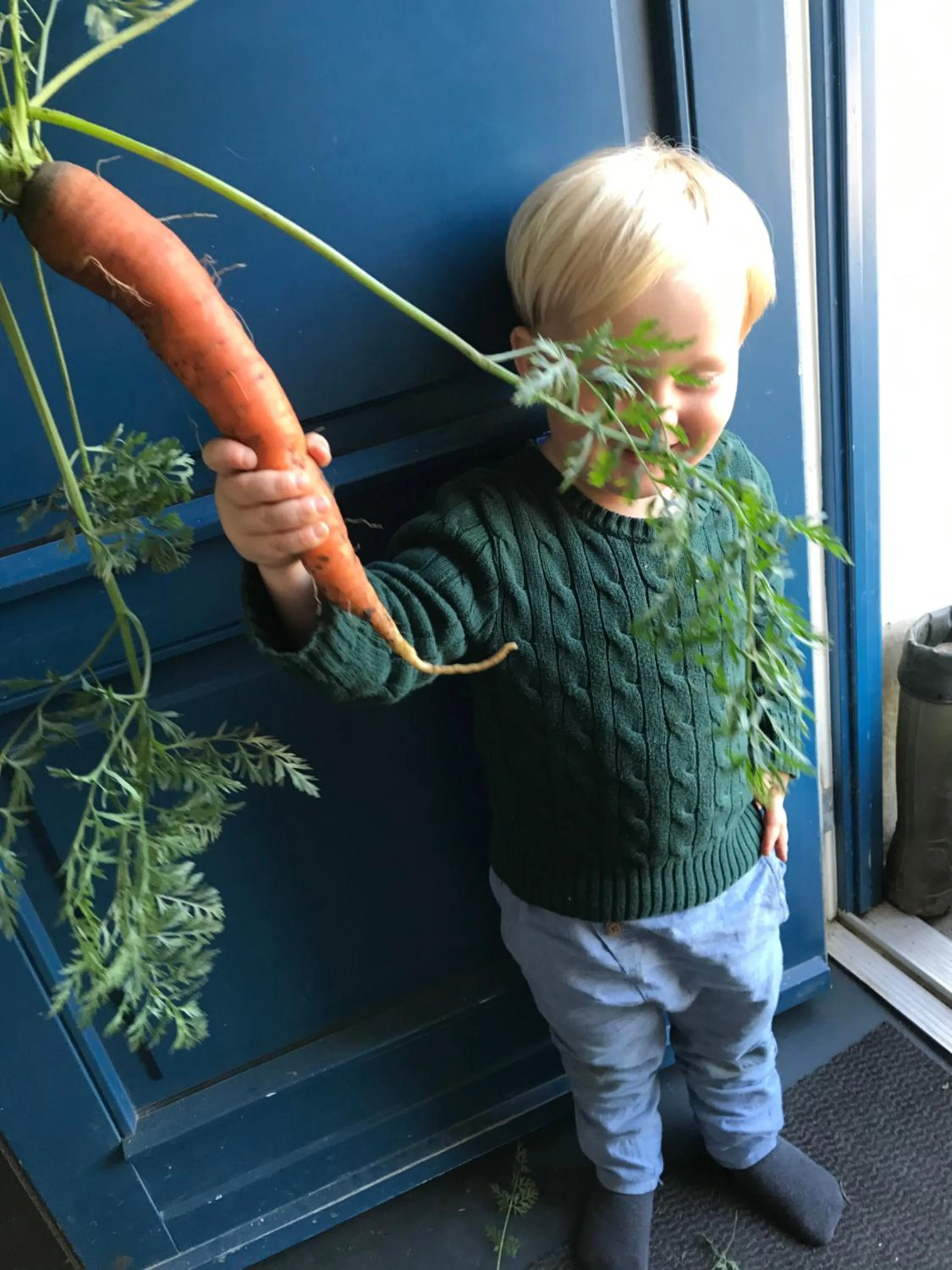 Bremsmaj Farm Holiday