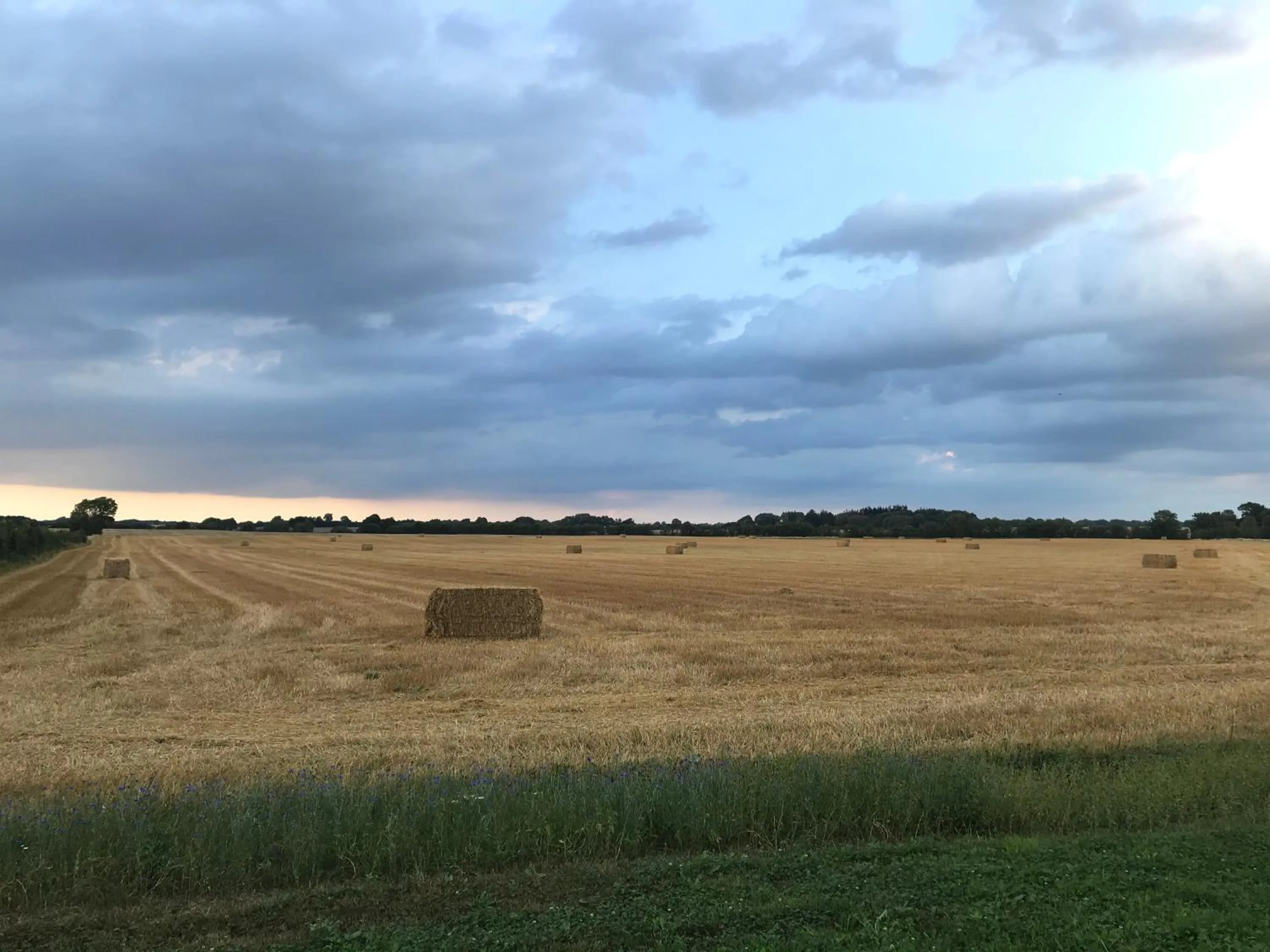 Bremsmaj Farm Holiday