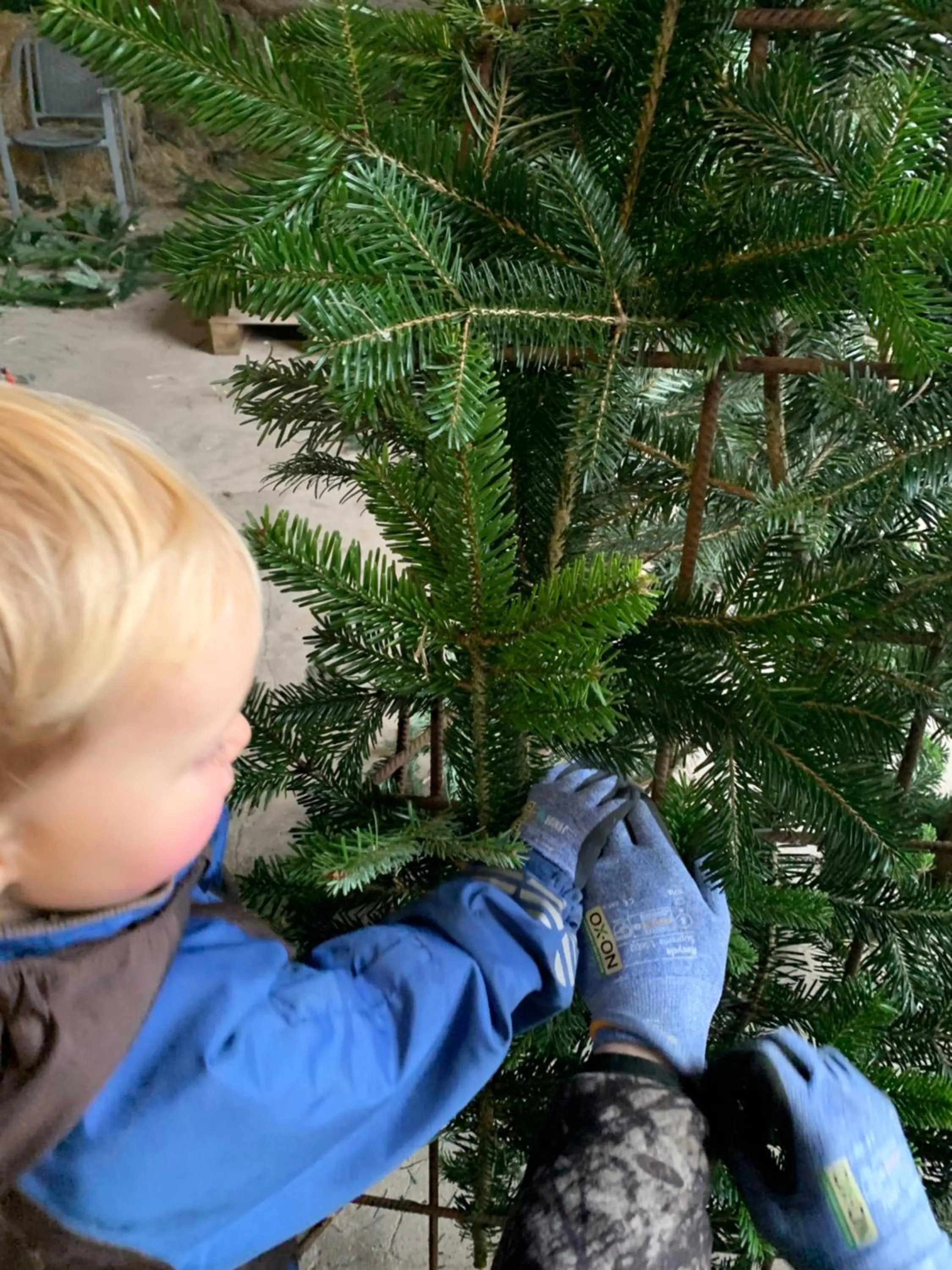 Bremsmaj Farm Holiday