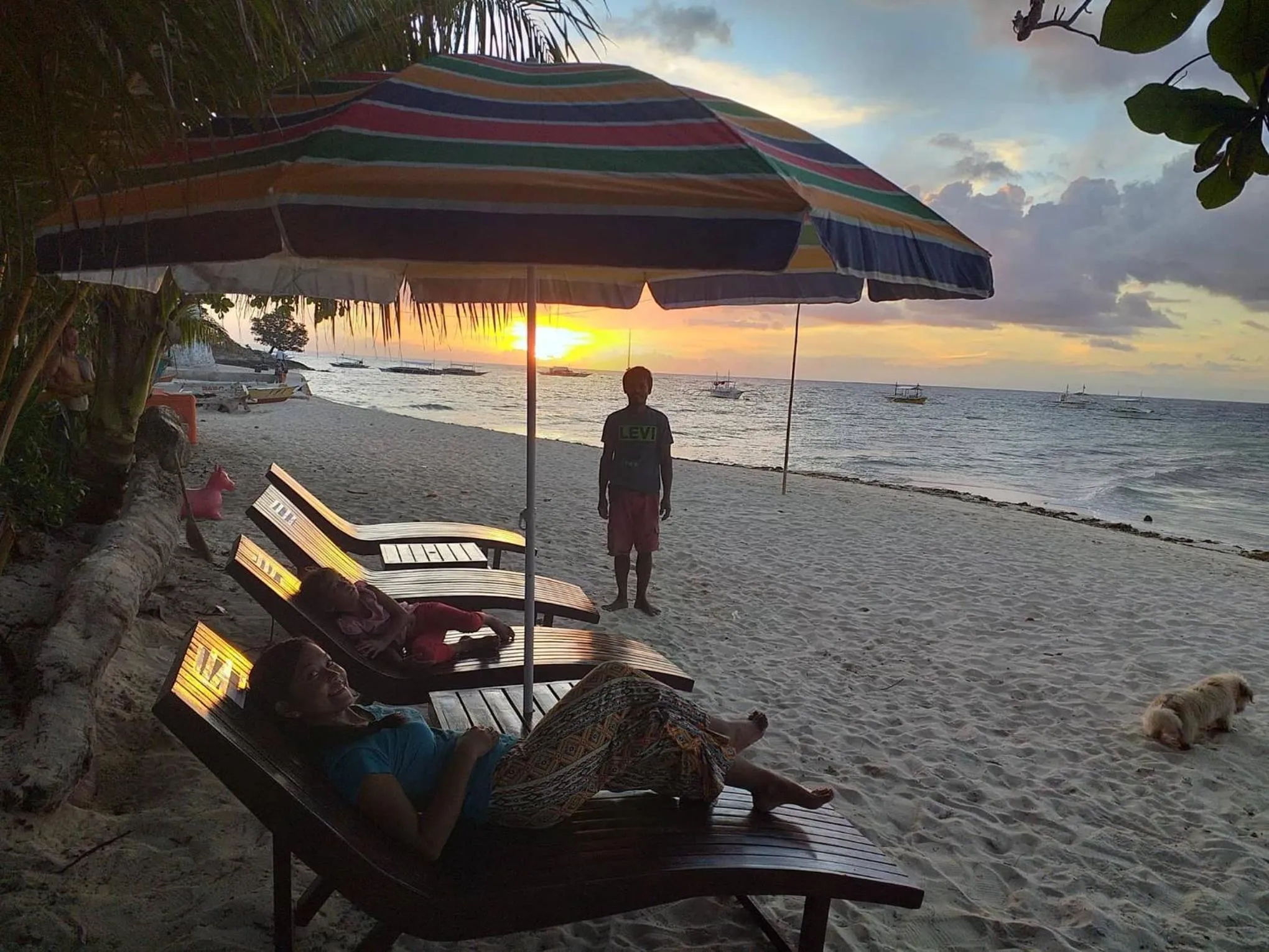 Junior & Nemesia's Cottages