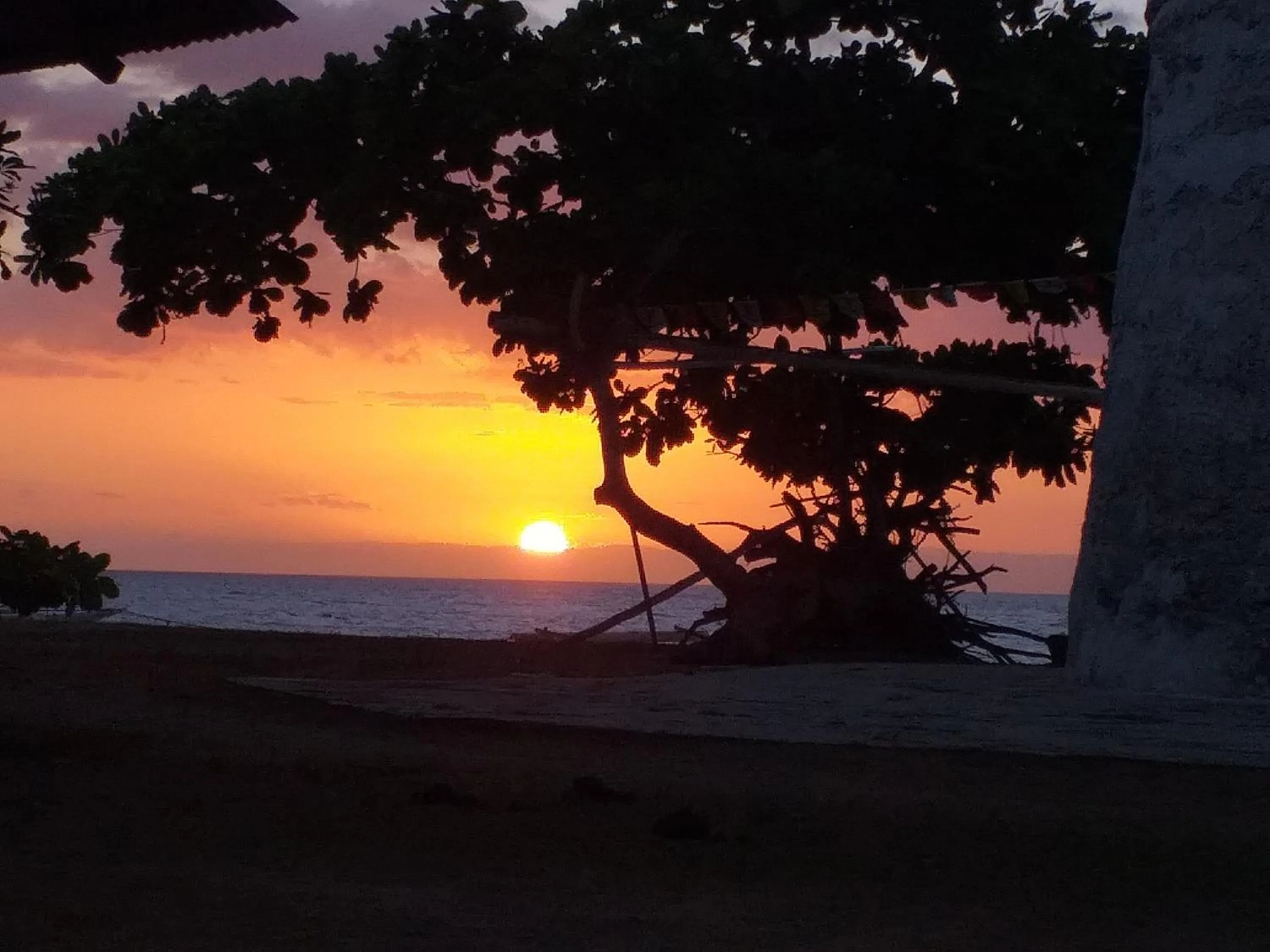 Junior & Nemesia's Cottages