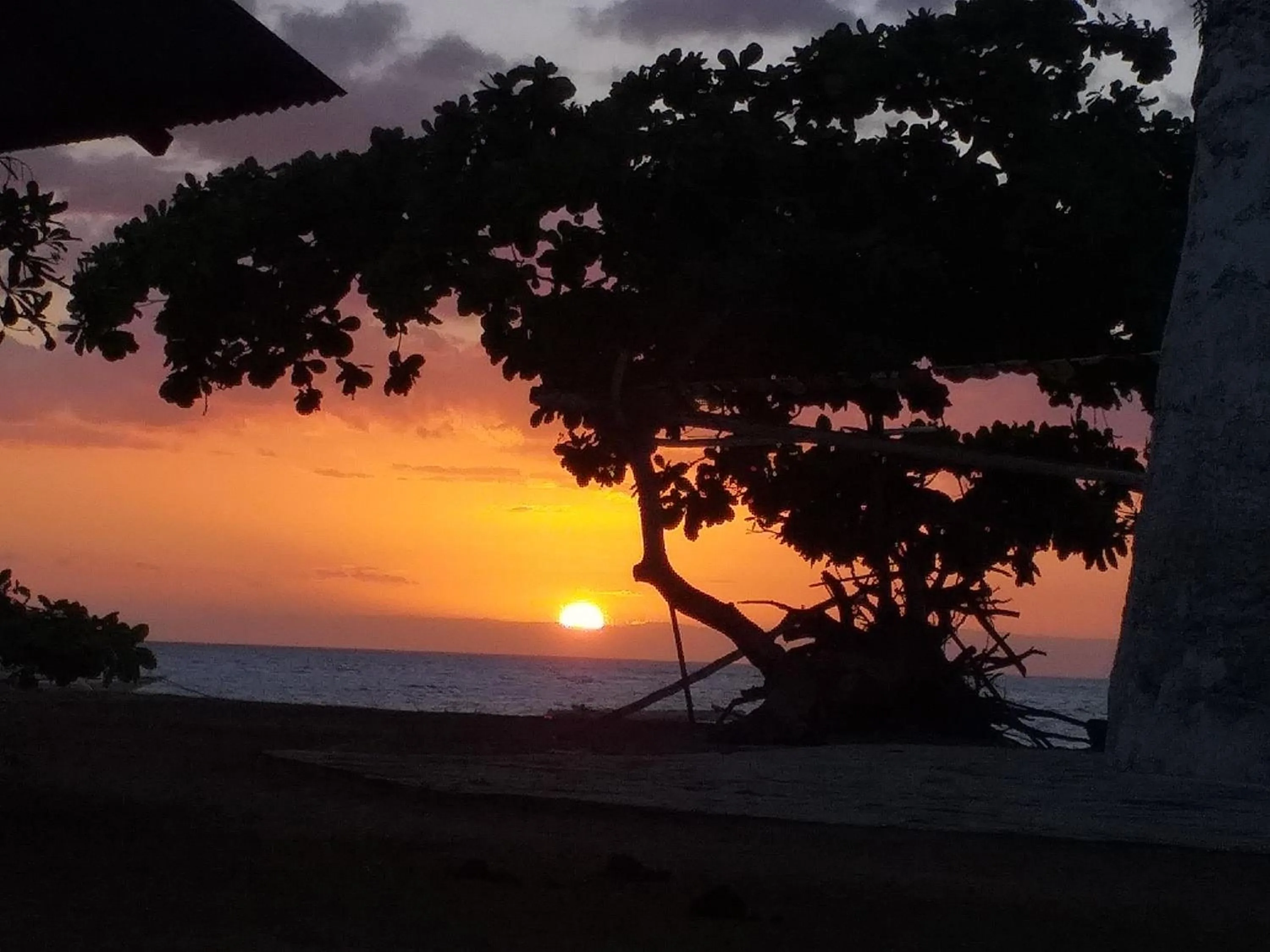 Junior & Nemesia's Cottages