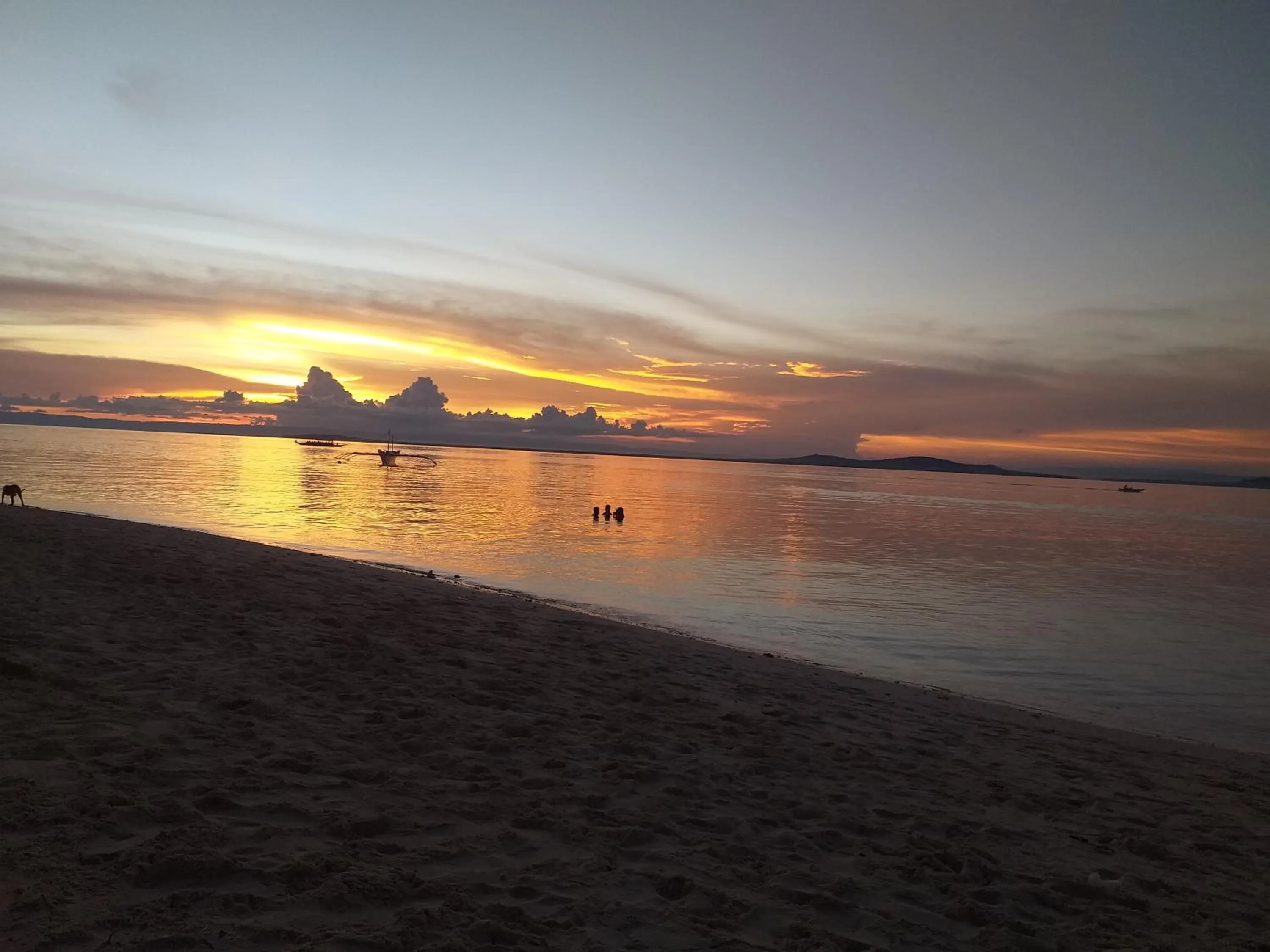 Junior & Nemesia's Cottages