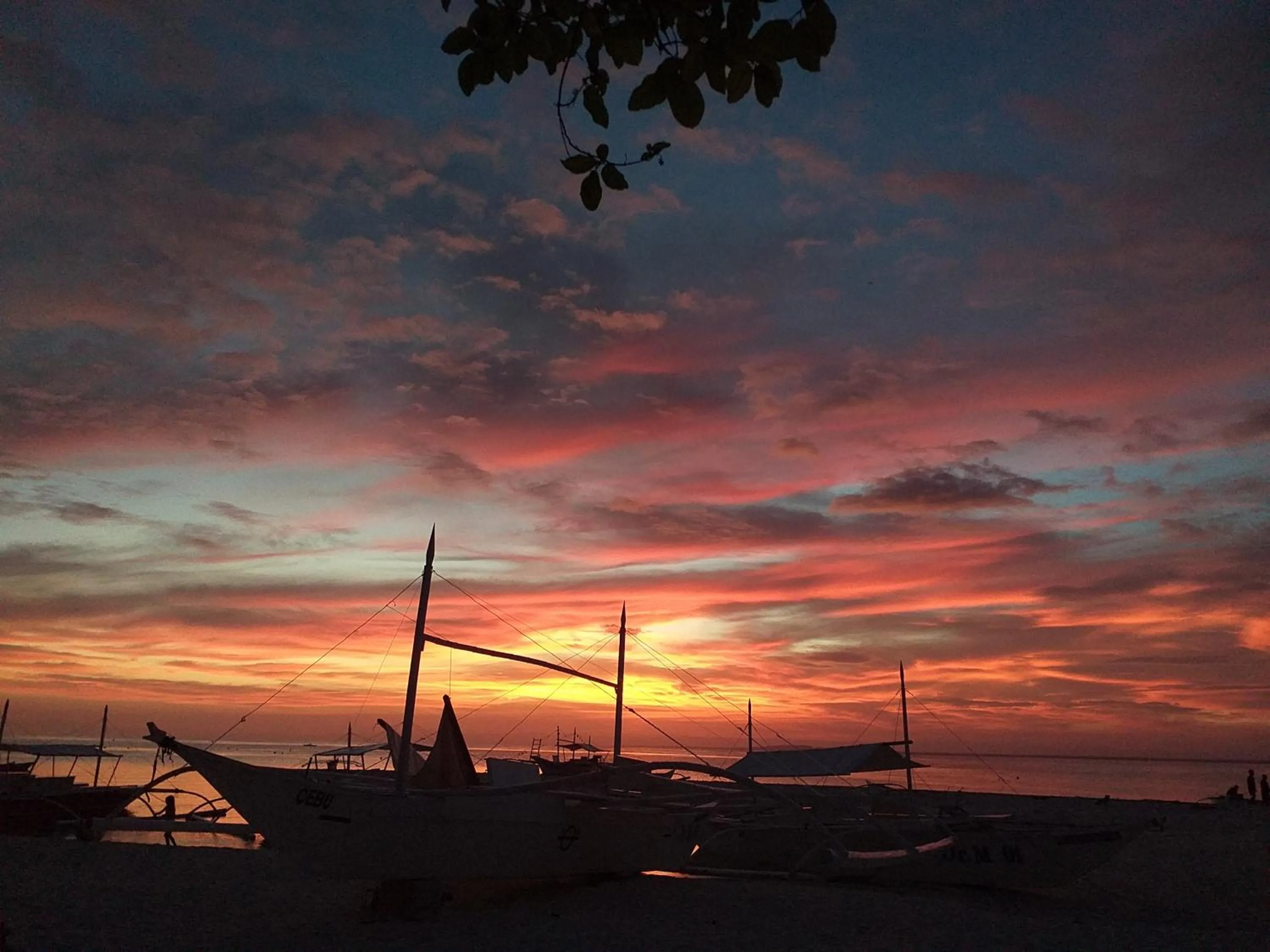 Junior & Nemesia's Cottages