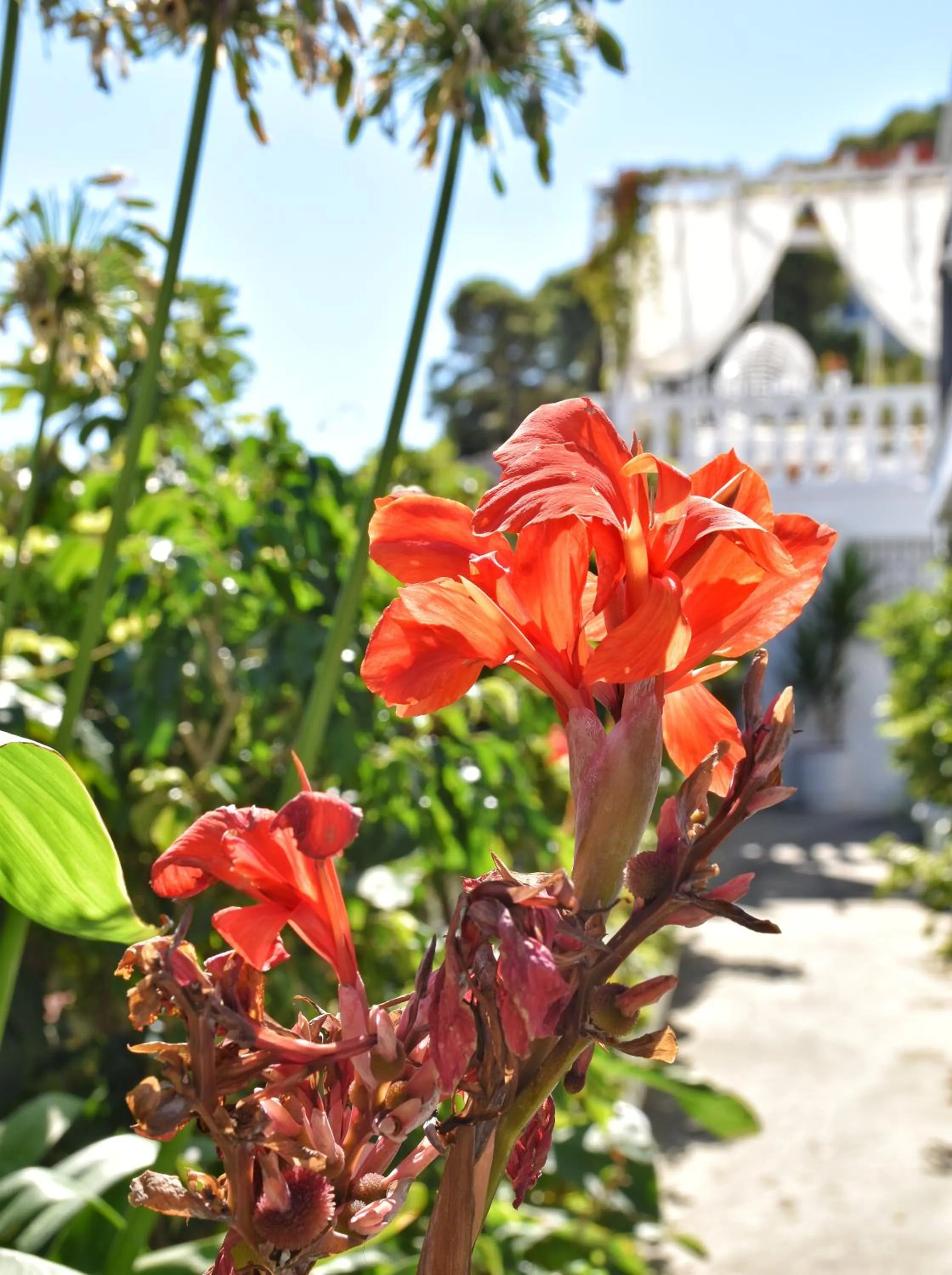 Balcony/Terrace in Angelos Design Suites