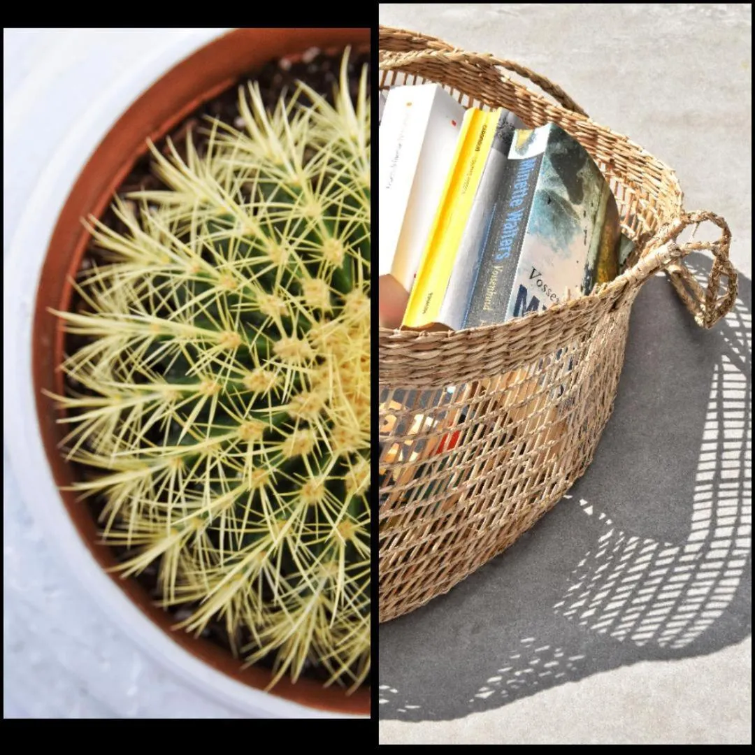 Balcony/Terrace in Angelos Design Suites