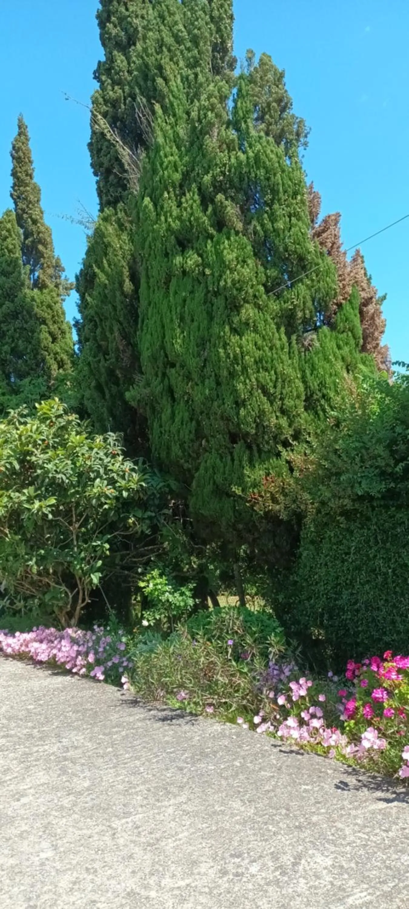 Natural landscape in Dimitra Apartments G