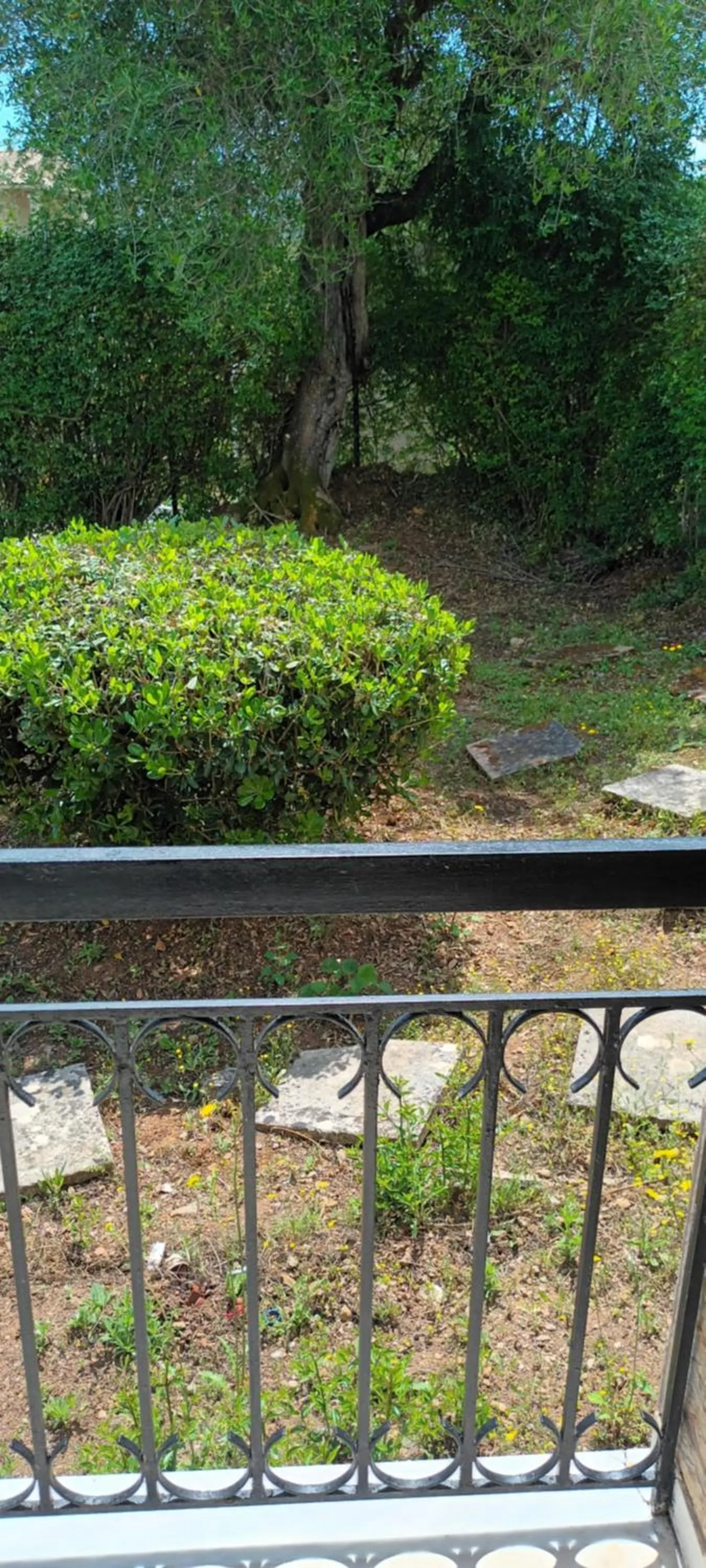 Natural landscape in Dimitra Apartments G