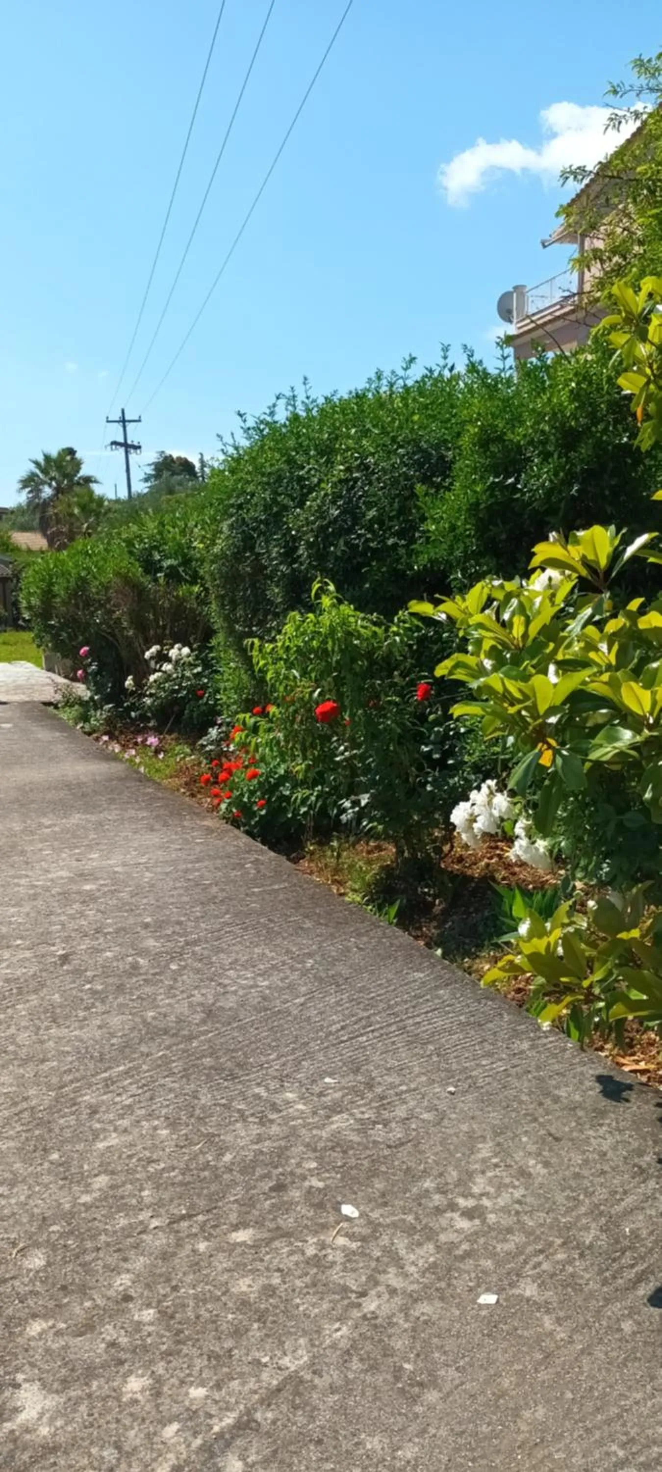 Garden in Dimitra Apartments G