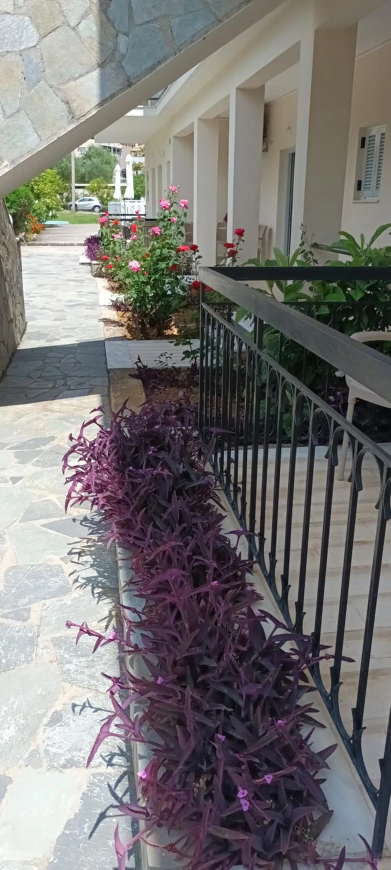 Property building in Dimitra Apartments G