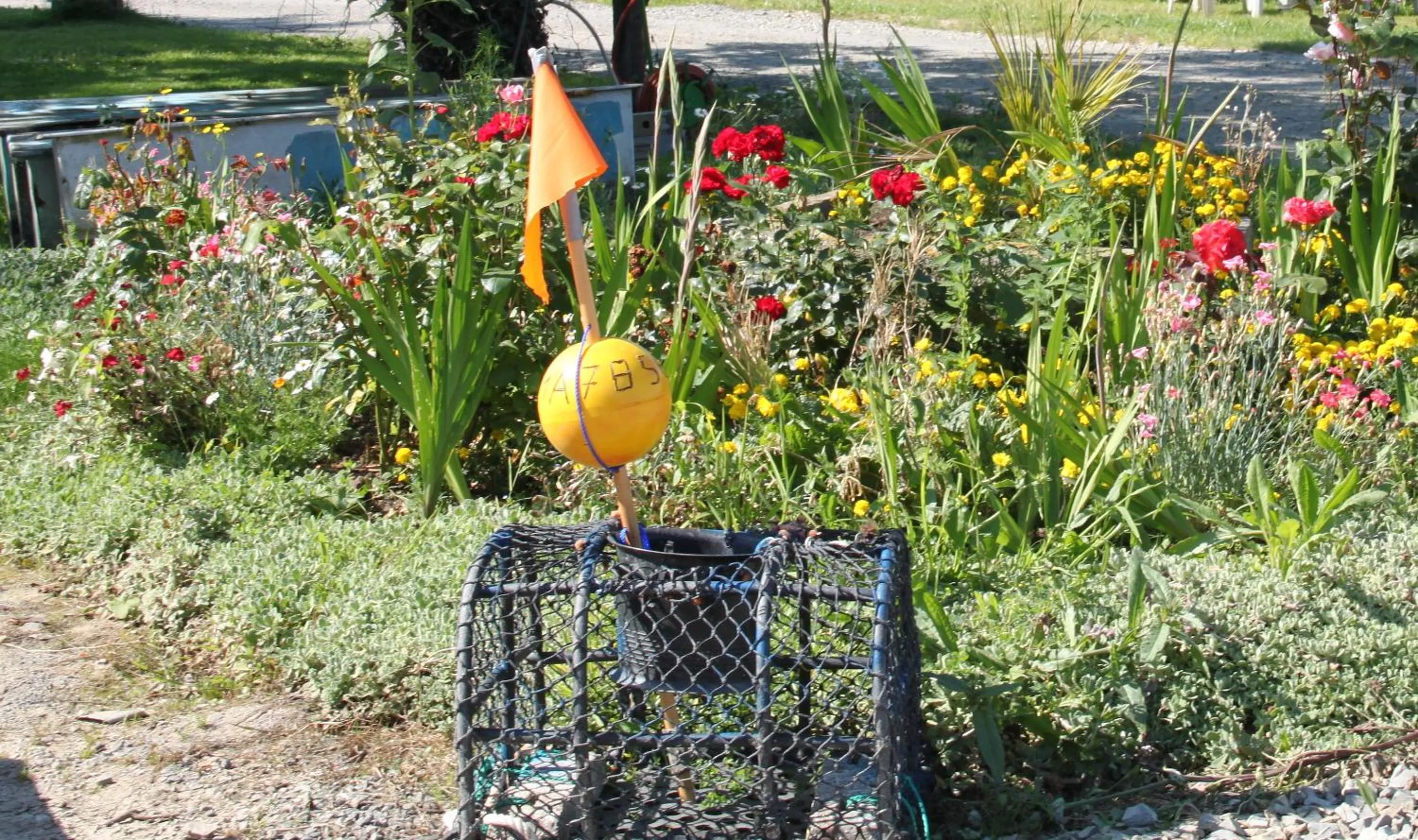 Garden in Chambres d'Hôtes du Manoir du Haut Salmon