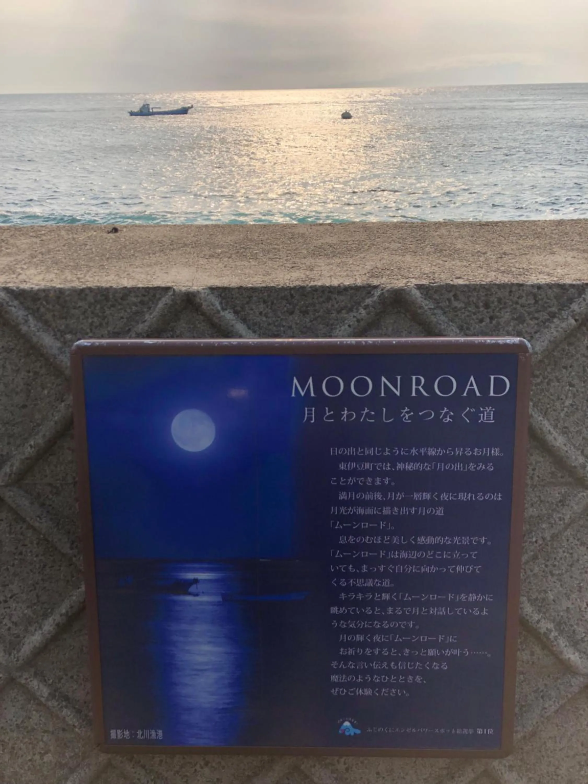 Izu Hokkawa Seaside Guesthouse 伊豆北川の家