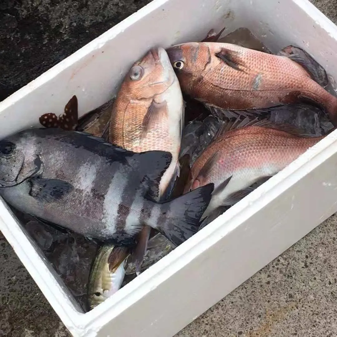 Izu Hokkawa Seaside Guesthouse 伊豆北川の家