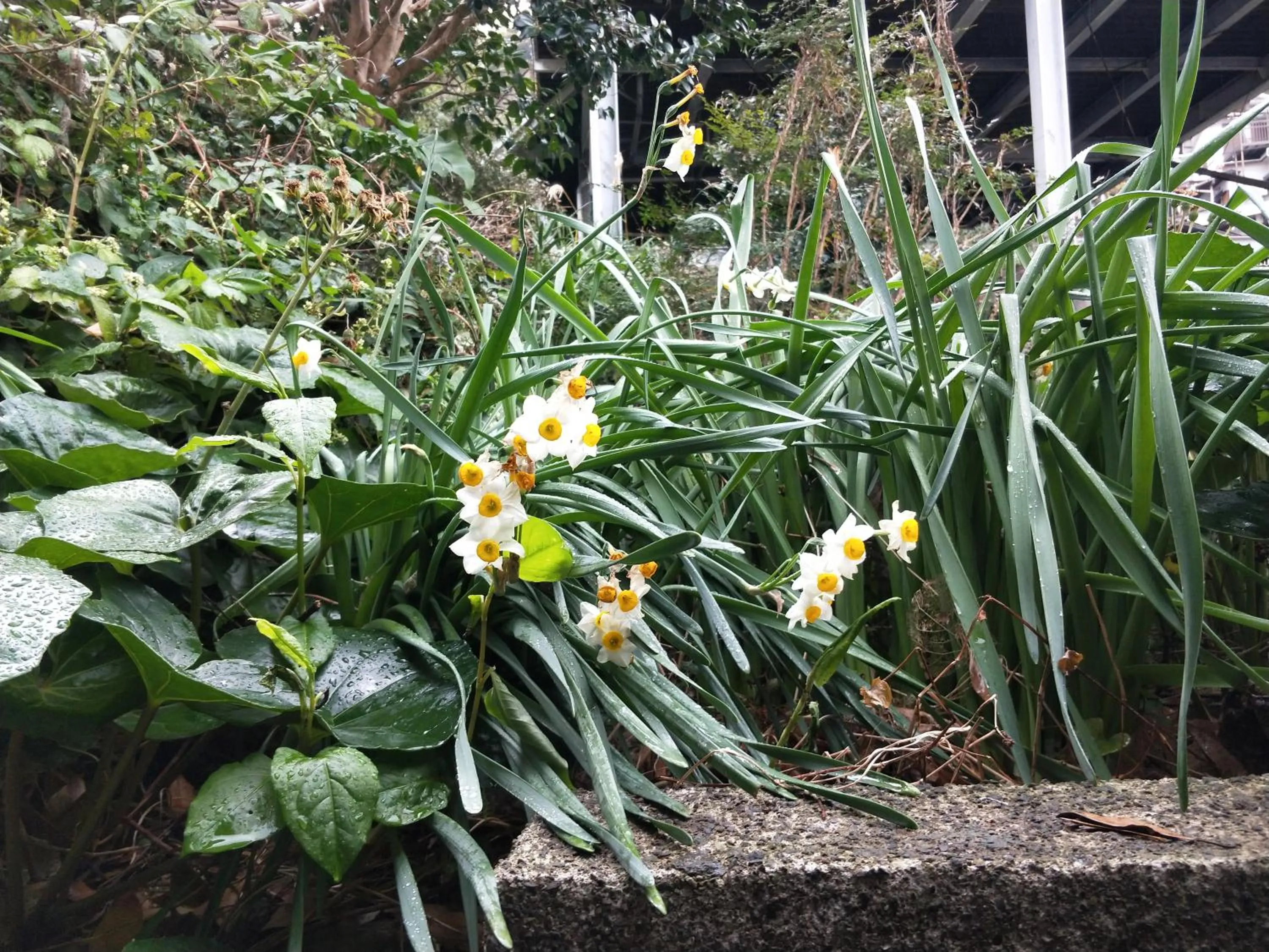 Izu Hokkawa Seaside Guesthouse 伊豆北川の家
