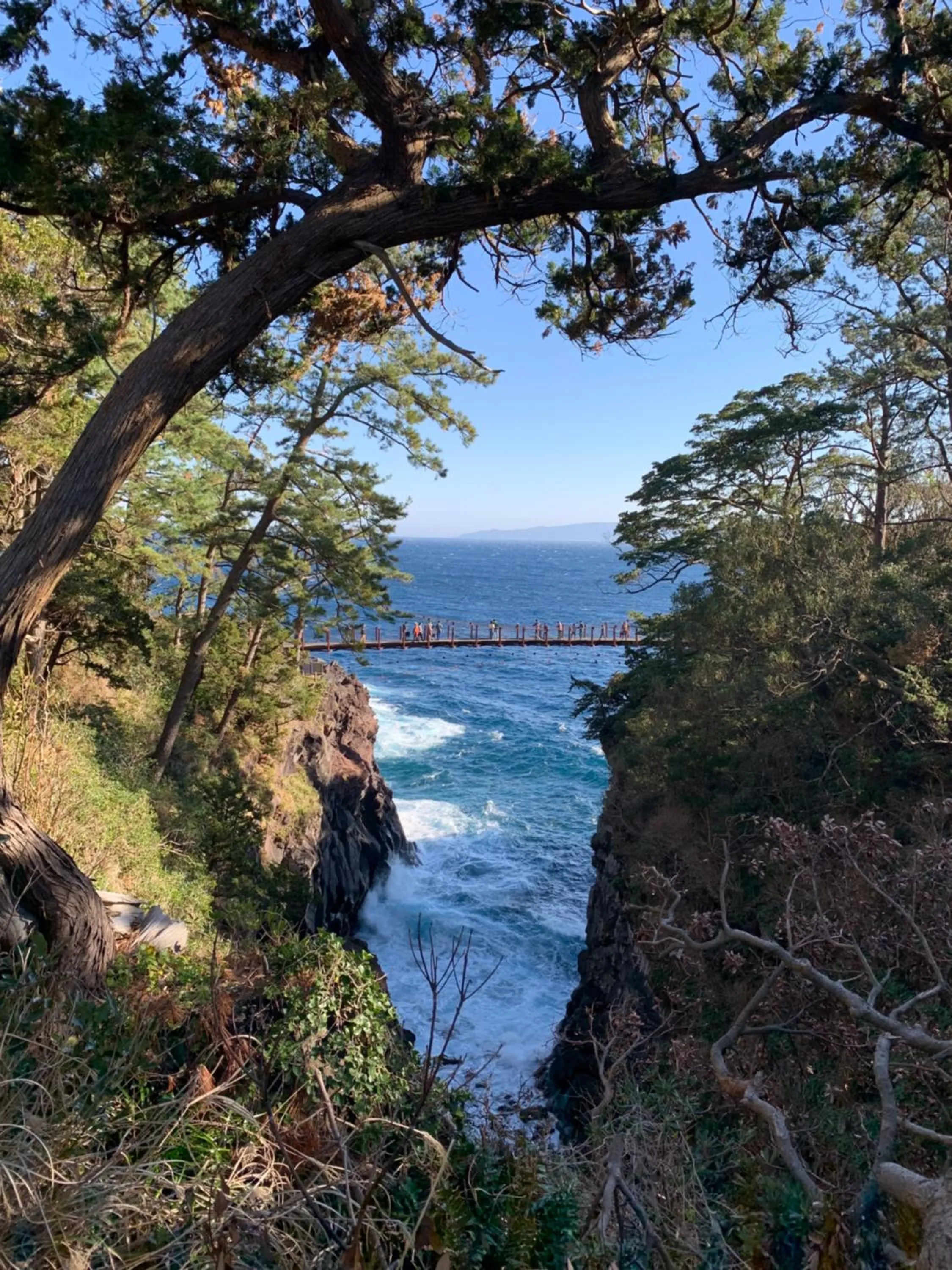 Izu Hokkawa Seaside Guesthouse 伊豆北川の家