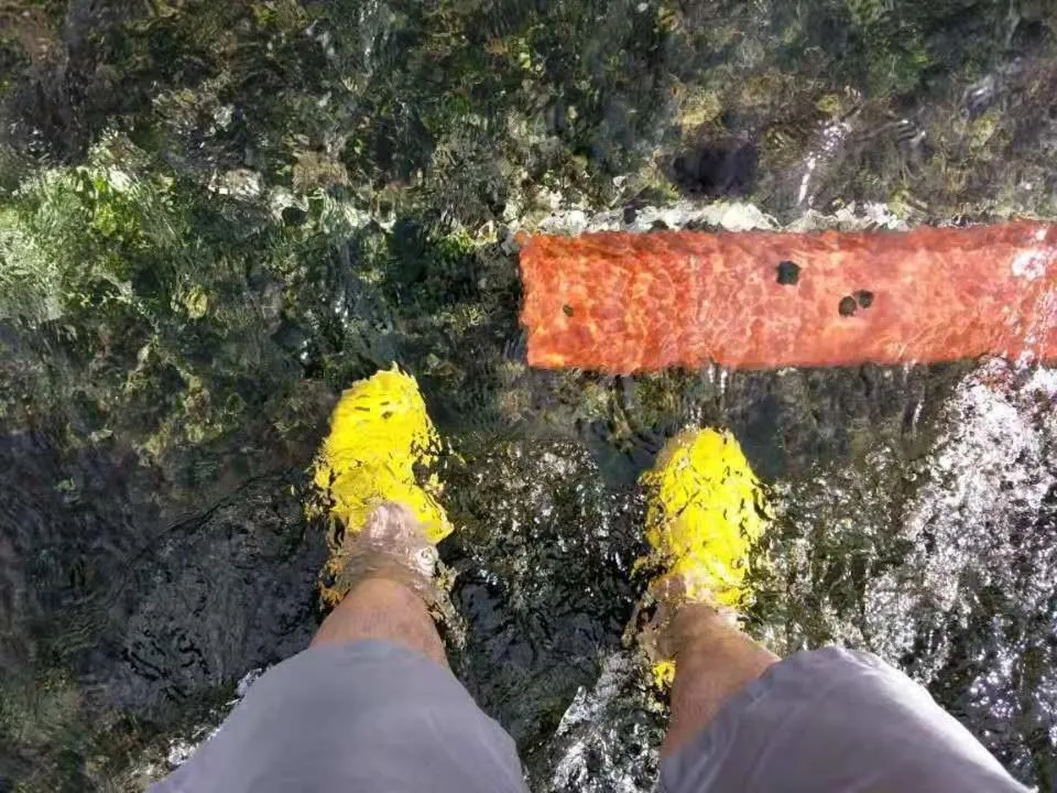 Izu Hokkawa Seaside Guesthouse 伊豆北川の家