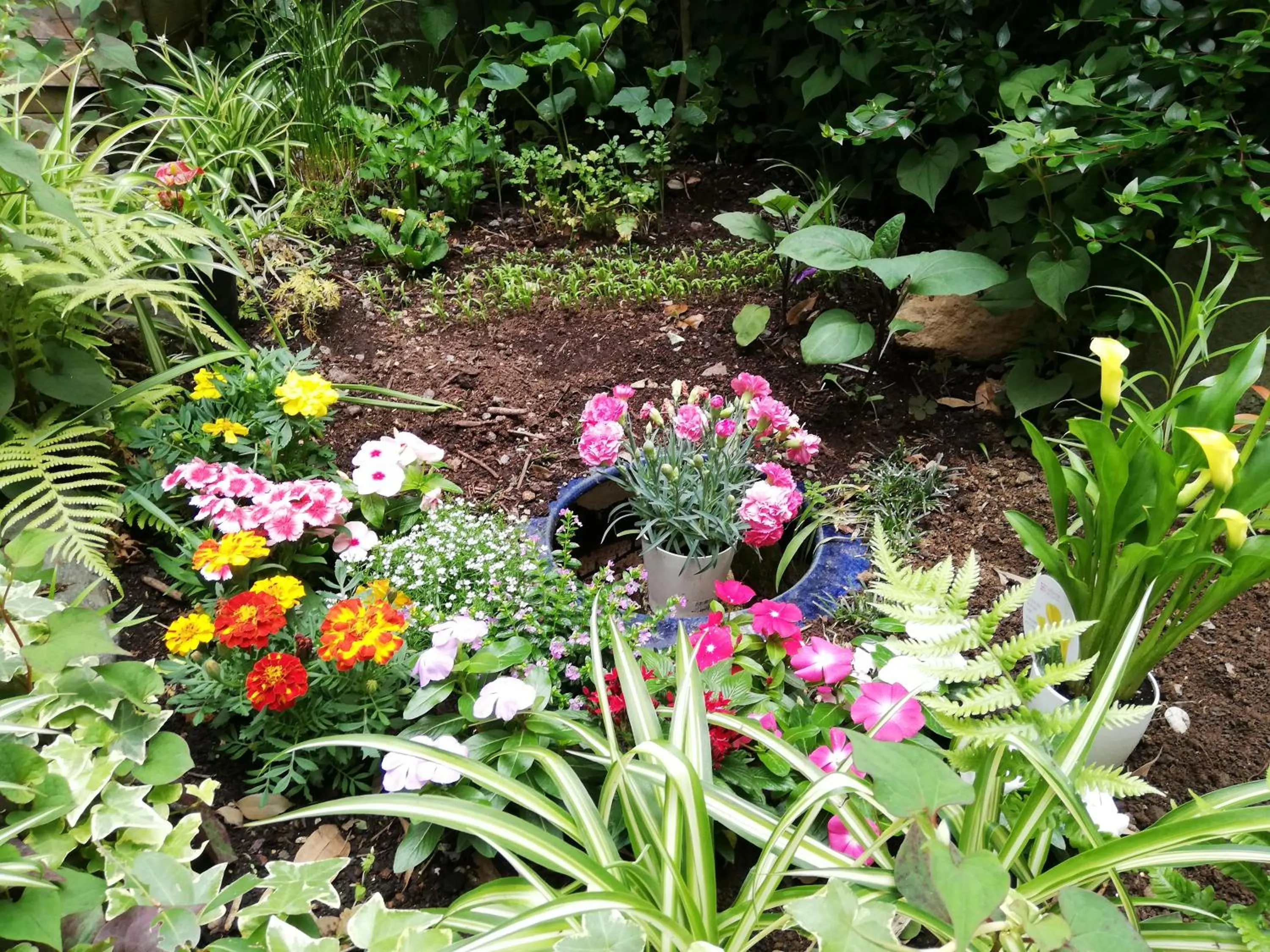 Izu Hokkawa Seaside Guesthouse 伊豆北川の家