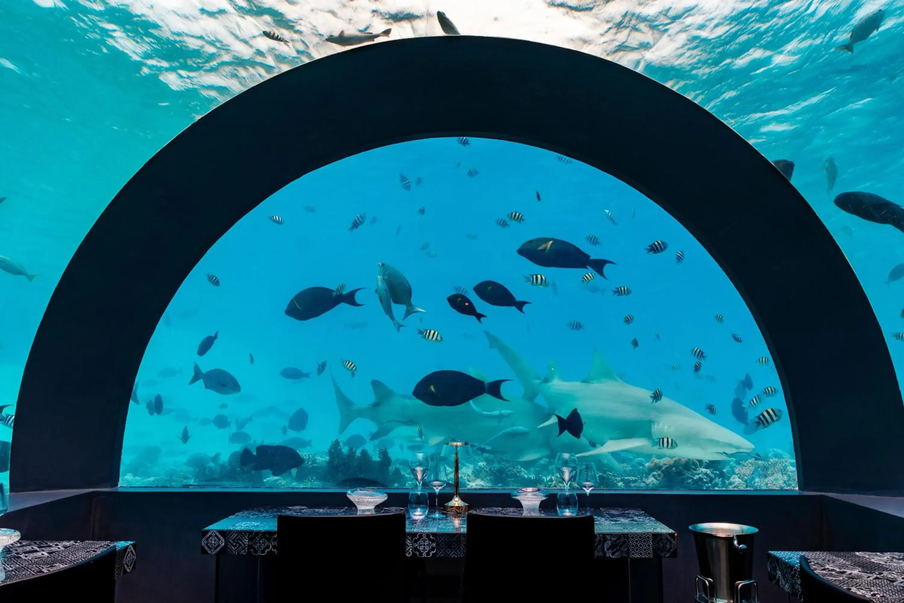 Restaurant/places to eat in You & Me Maldives - Adults Only - Premium All-Inclusive Restaurant/places to eat in You & Me Maldives - Adults Only - Premium All-Inclusive