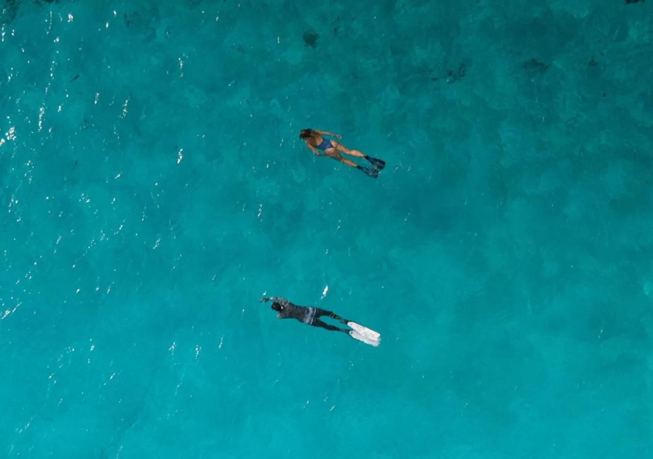 Snorkeling in You & Me Maldives - Adults Only - Premium All-Inclusive