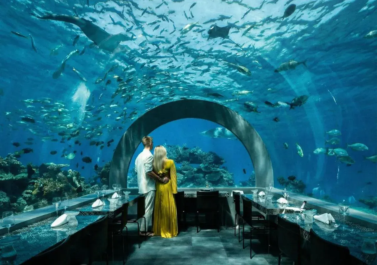 Restaurant/places to eat in You & Me Maldives - Adults Only - Premium All-Inclusive Restaurant/places to eat in You & Me Maldives - Adults Only - Premium All-Inclusive