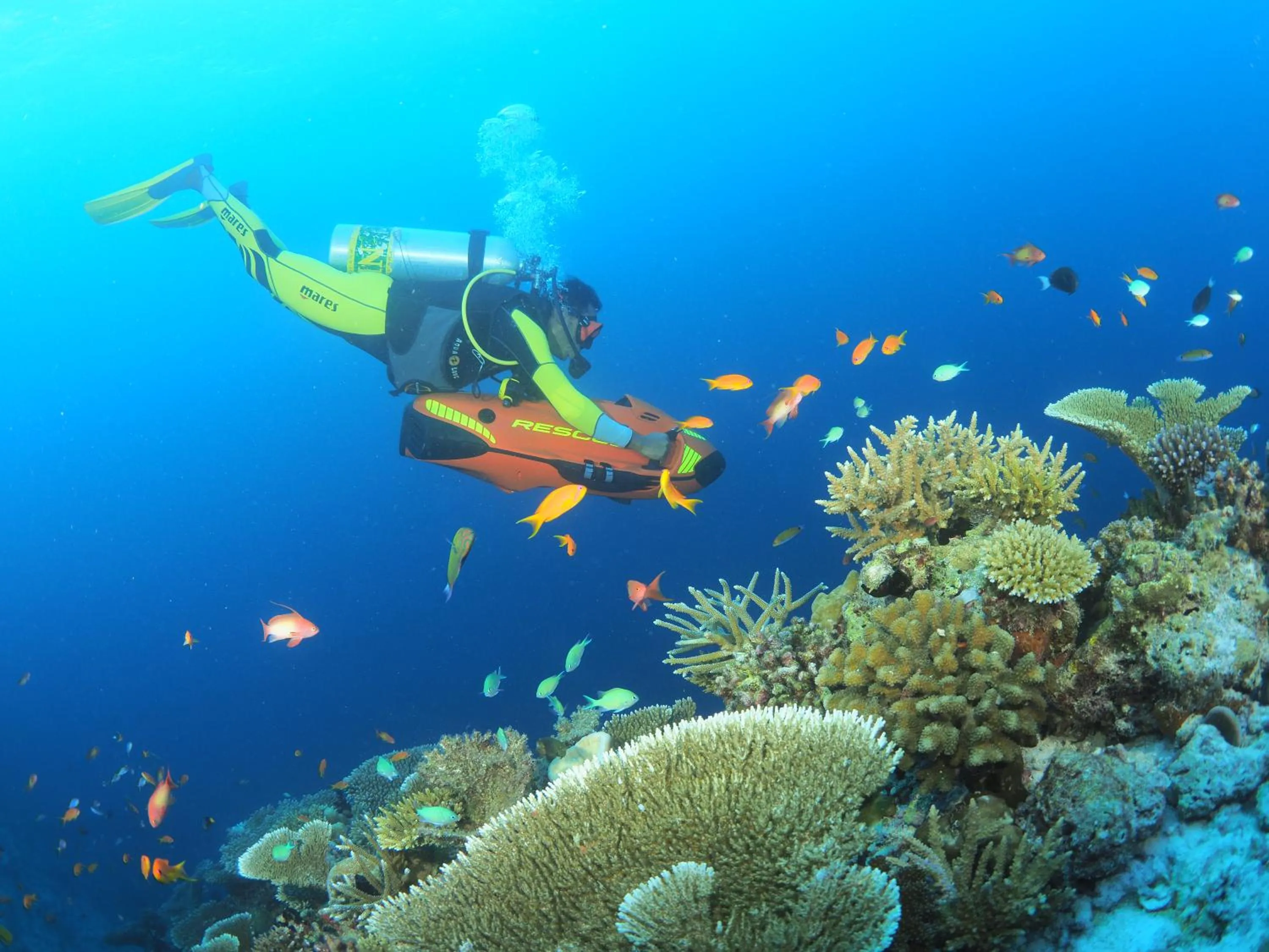 Diving in You & Me Maldives - Adults Only - Premium All-Inclusive