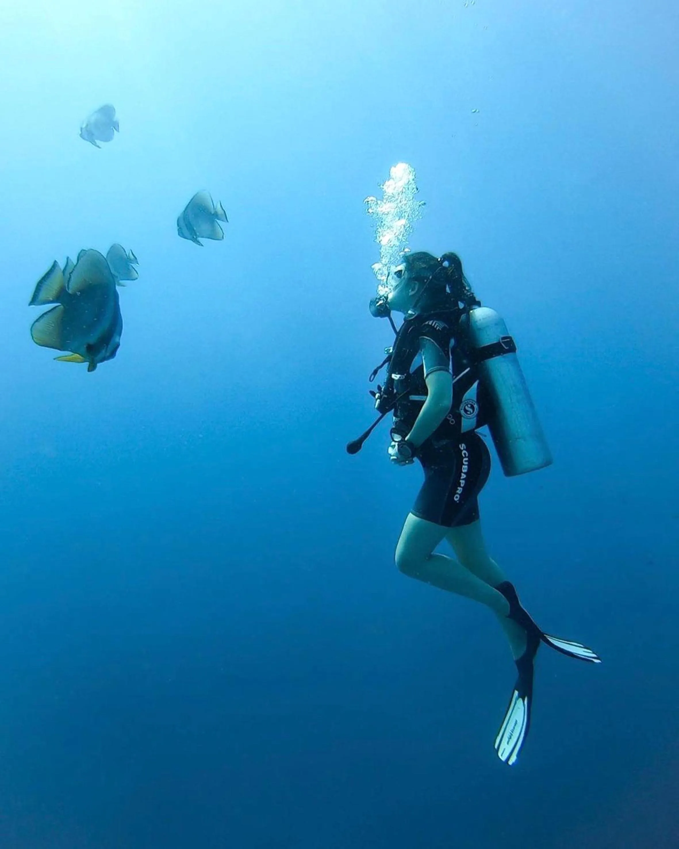 Diving in You & Me Maldives - Adults Only - Premium All-Inclusive