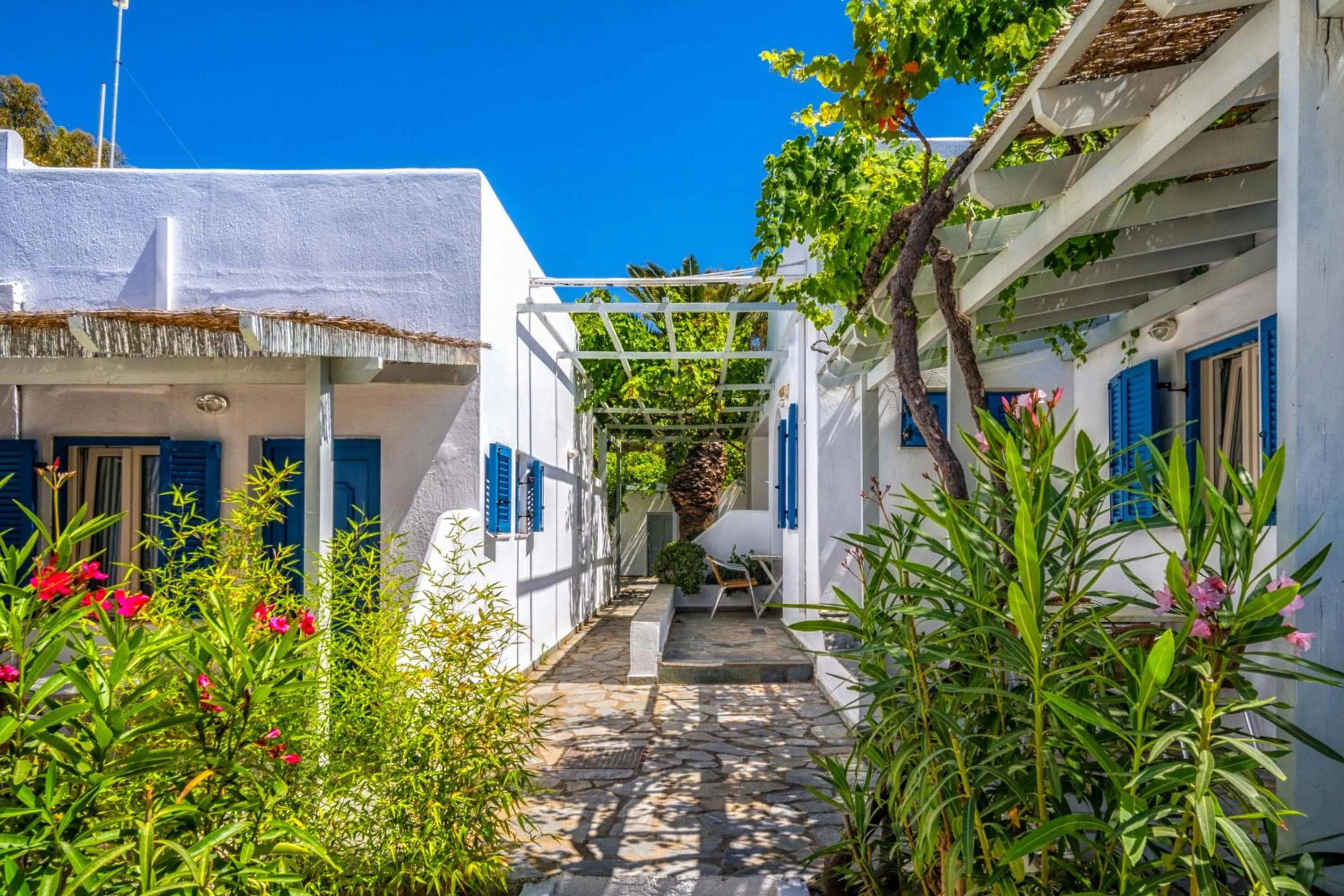 Garden view in Coralli Seaside Resort